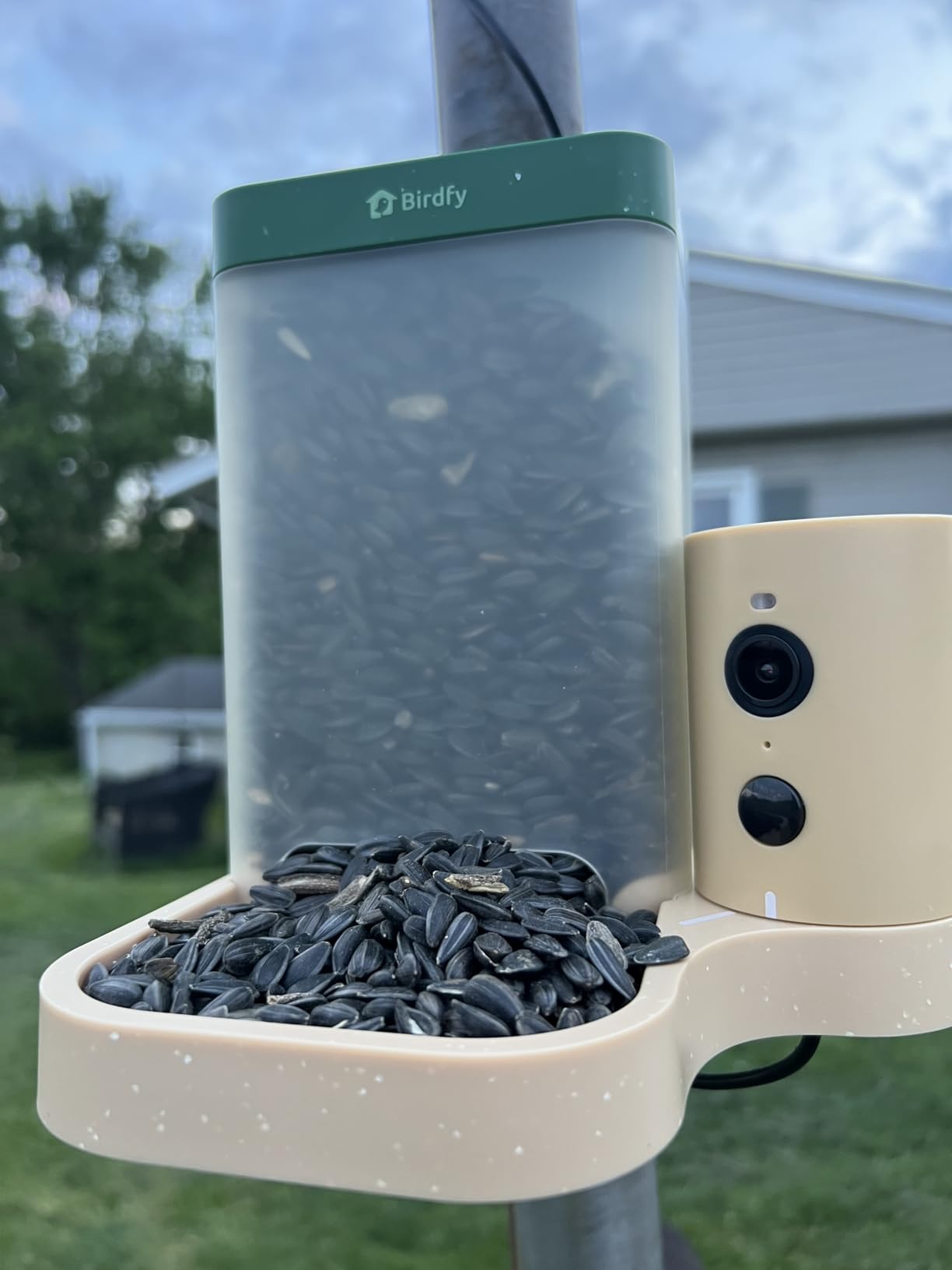 Birdfy Bird Feeder with Camera for Rookie - Solar Powered Outdoor Bird Feeder with Dual Night Vision, AI Recognition, Slow Motion & IP66 Waterproof, Ideal for BirdLovers (Lifetime Free AI) customer photo 1