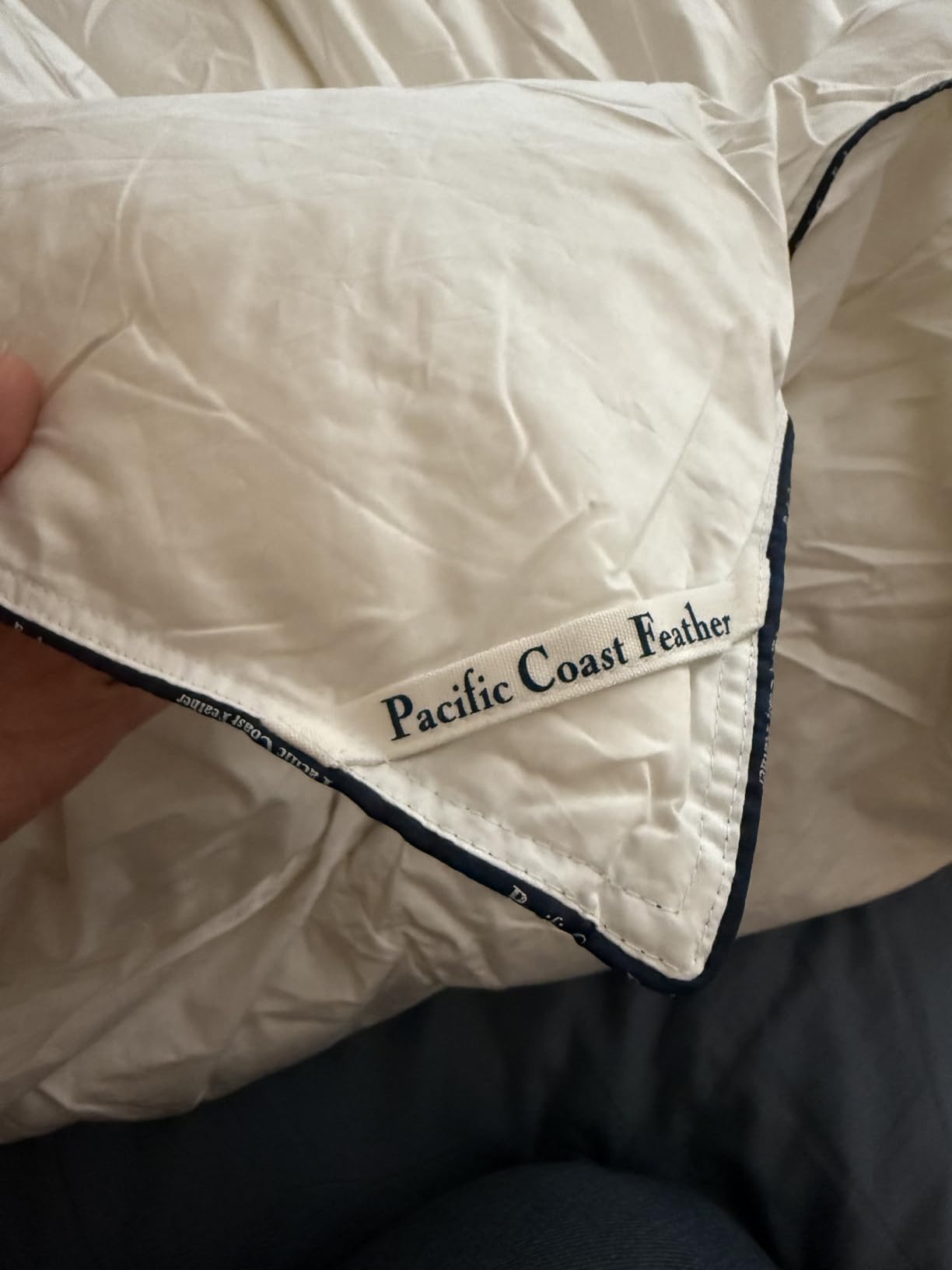 Pacific Coast Premium Goose Down Fiber Comforter King Size, 420TC 100% Australian Cotton Shell, All-Season Comforter with Hidden Baffle Box & Double-Stitched Piping (106x90) customer photo 1