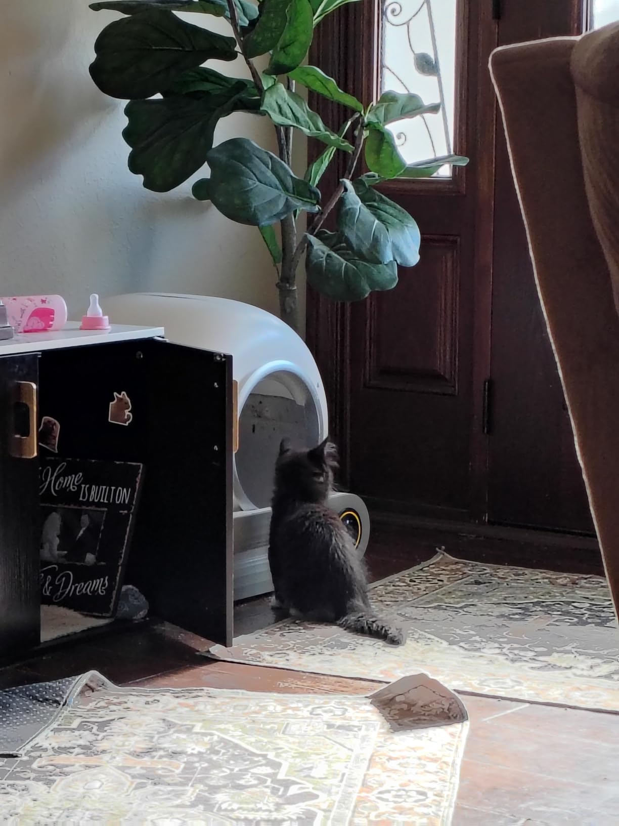 Automatic Litter Box, (2026) Multi-Function Upgrade Robot Self Cleaning Litter Box for Multiple Cats, 65L+9L Extra Large, APP Control, Deodorization, 3 Rolls Litter Bag Liners, 1 Odor Eliminator customer photo 2