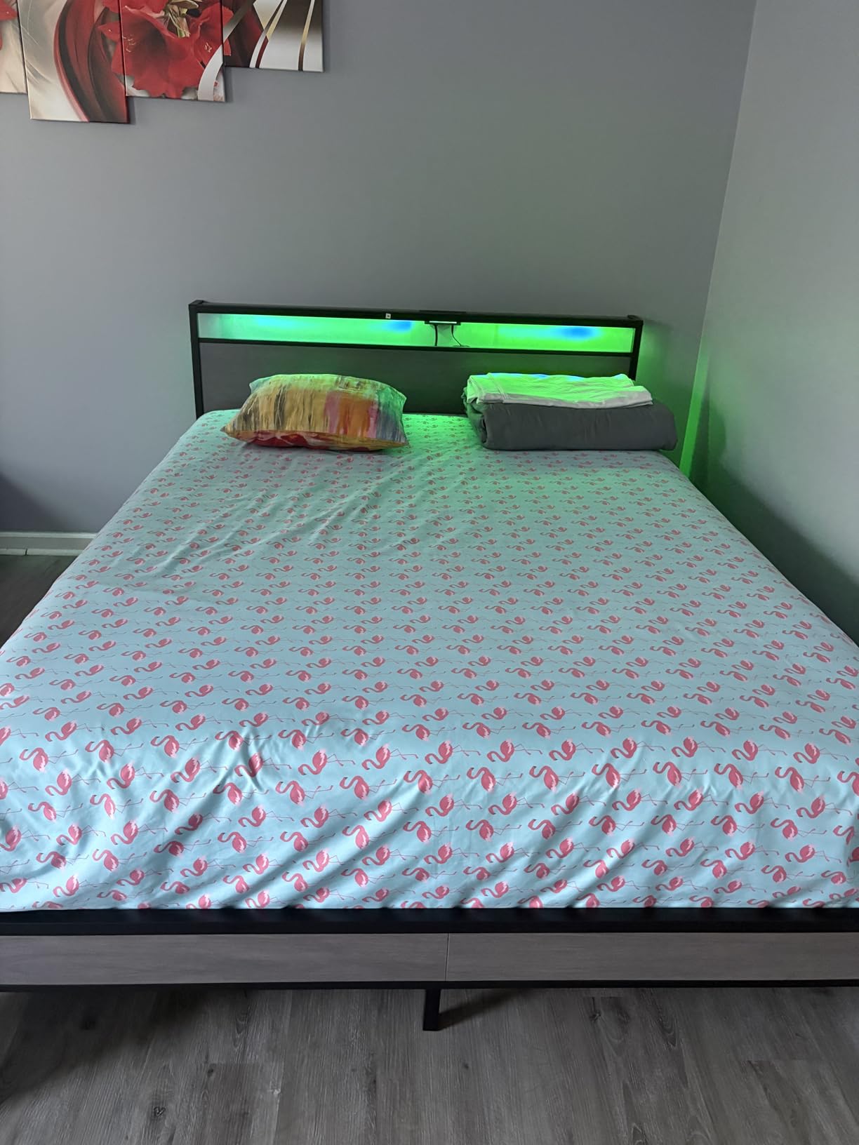 Fluest Queen Bed Frame with Headboard & Footboard, Bed Frame with Built-in Charging Station & LED Light, Storage Shelf, Noise-Free, No Box Spring Needed, Easy Assembly, Classic Black customer photo 1