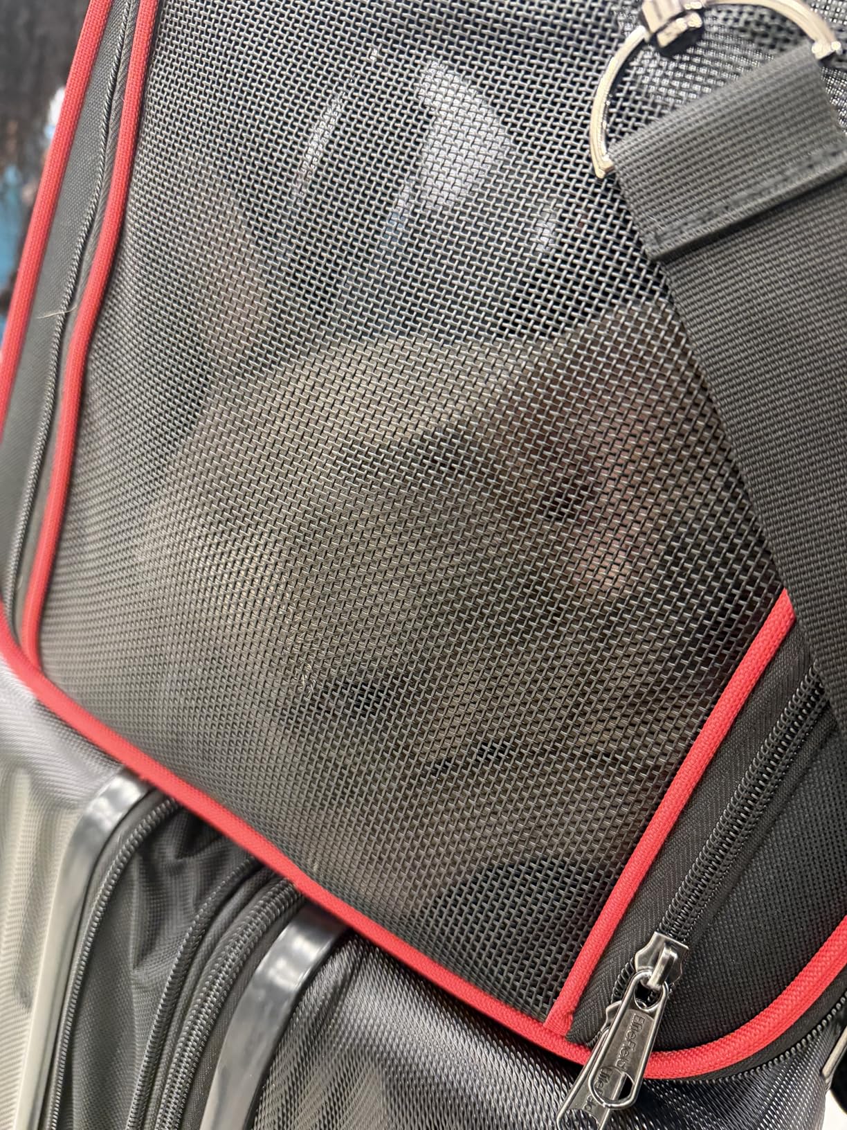 EliteField Soft-Sided Pet Carrier (3-Year Warranty, Airline Approved), Foldable Travel Bag with Removable Fleece Bed for Dogs, Cats & Small Pets, Scratch-Resistant Mesh customer photo 1