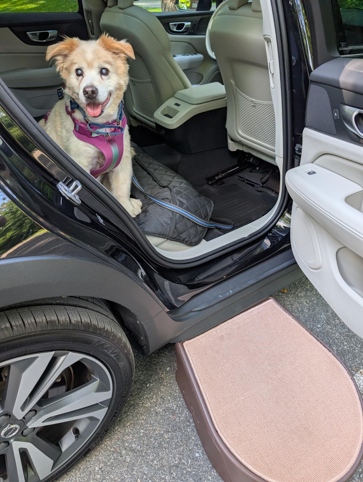 Pet Gear Stramp Stair and Ramp Combination for Dogs/Cats, Easy Step, Lightweight/Portable, Sturdy, Easy Assembly (No Tools Required), Dark Brown customer photo 1