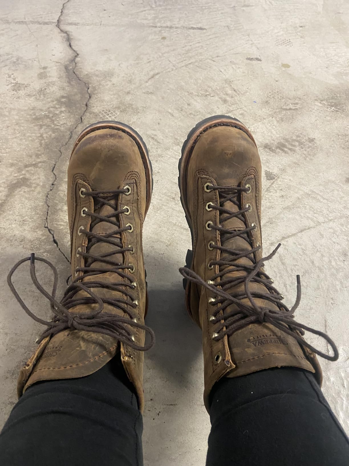 Chippewa Paladin 8