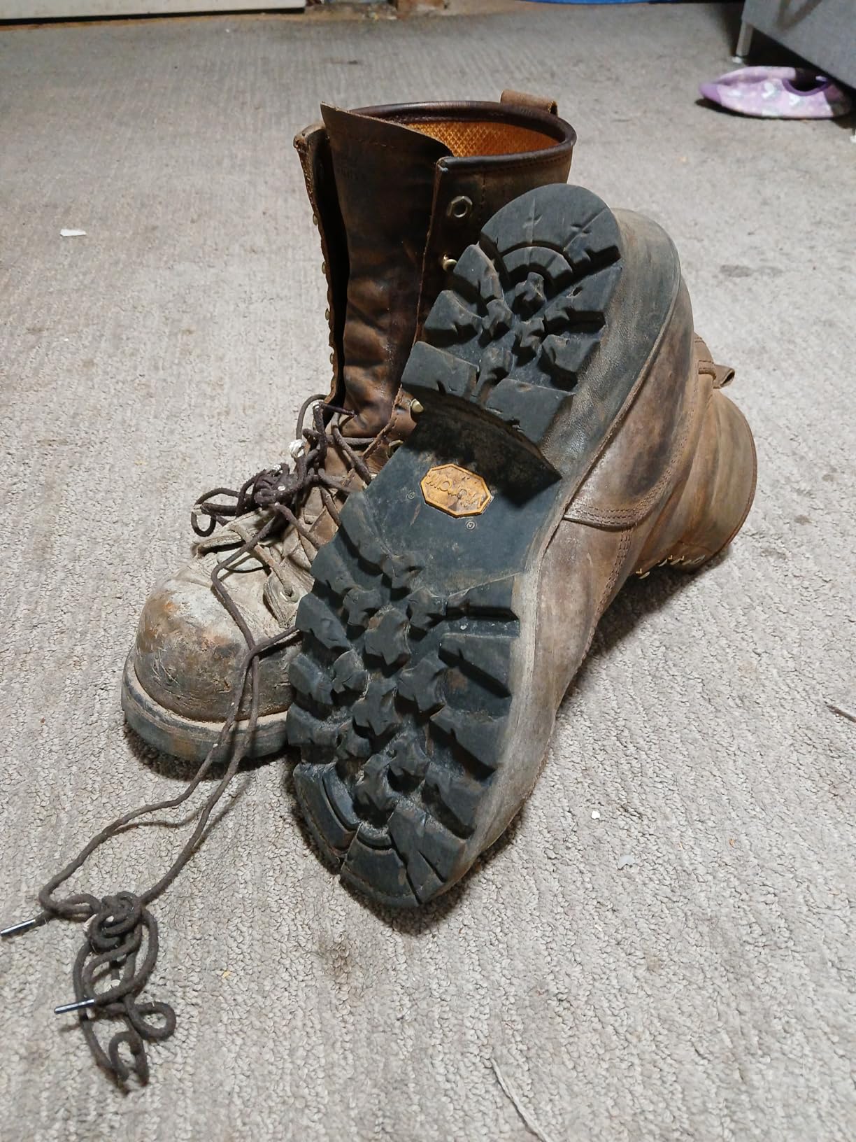 Chippewa Paladin 8