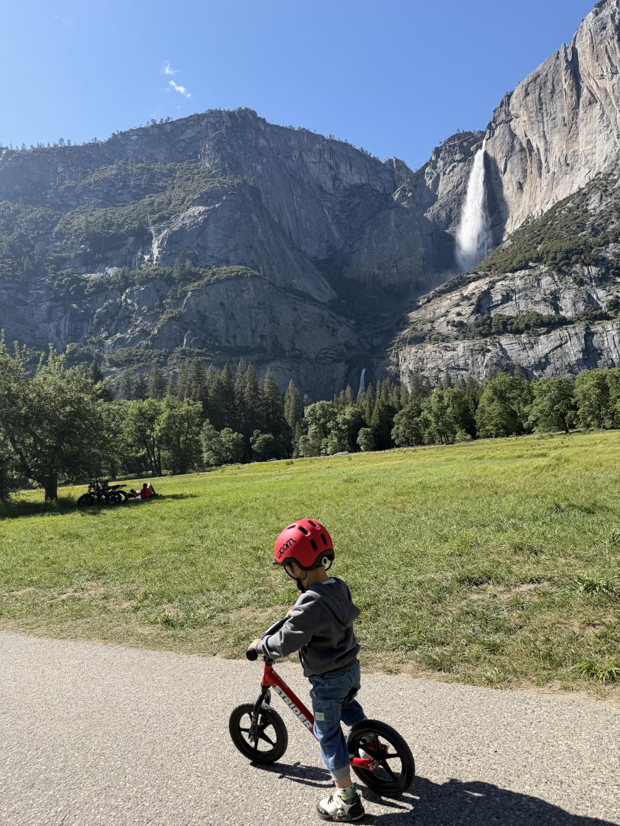 Strider 12 Sport Bike, Blue - No Pedal Balance Bicycle for Kids 1 to 4 Years - Includes Safety Pad, Padded Seat, Mini Grips, Flat-Free Tires - Easy Assembly, Tool-Free Adjustments customer photo 1
