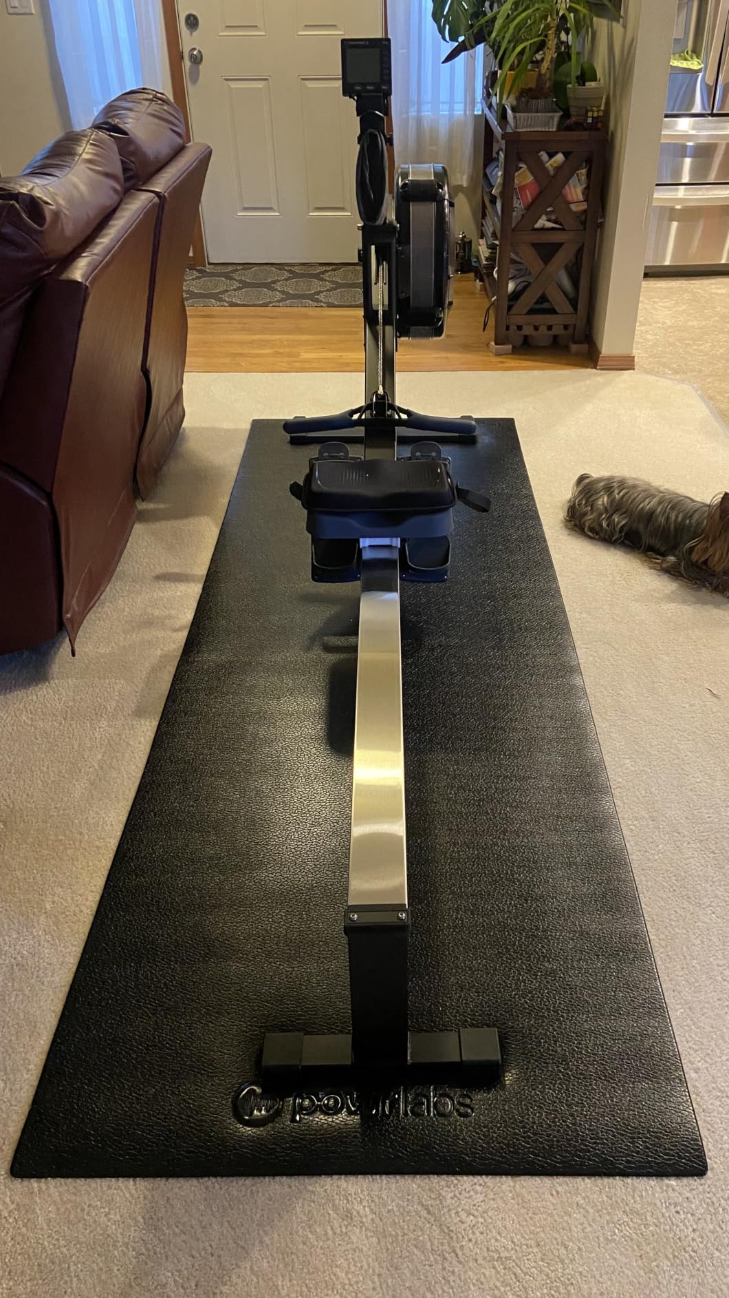 Concept2 RowErg Indoor Rowing Machine - PM5 Monitor, Device Holder, Adjustable Air Resistance, Easy Storage customer photo 2