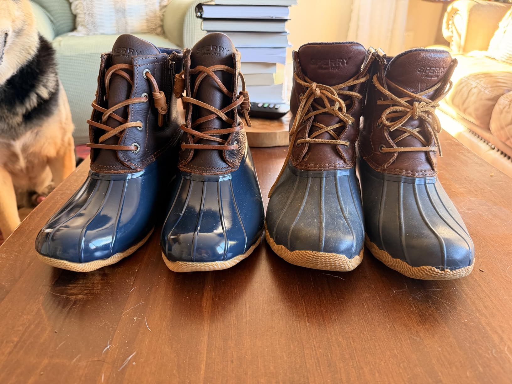 Sperry Women's Saltwater Seasonal customer photo 1