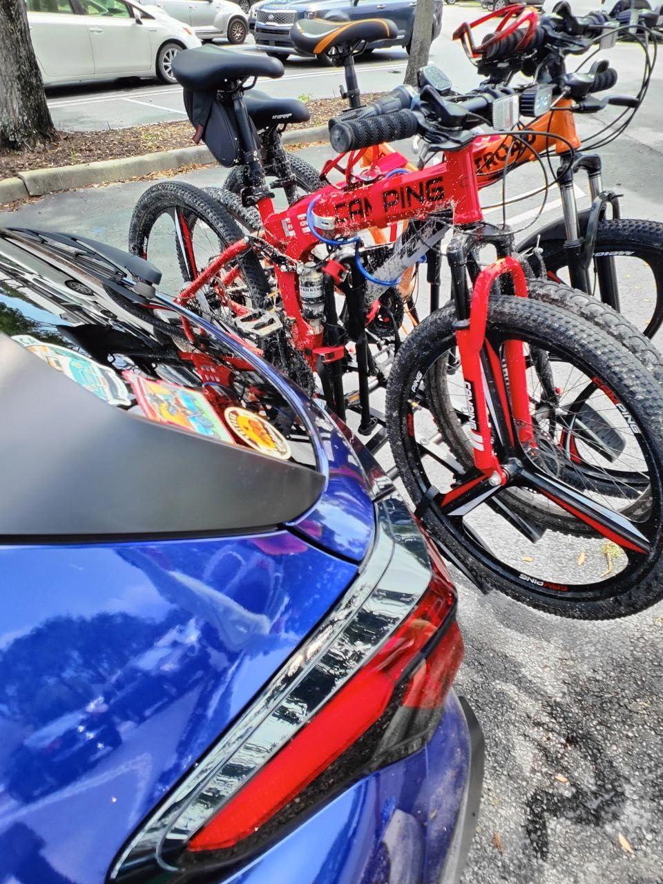 Road-Max TRIMAX Easy Rider' Bike Carrier for 3 Bikes, Trunk Mount customer photo 1