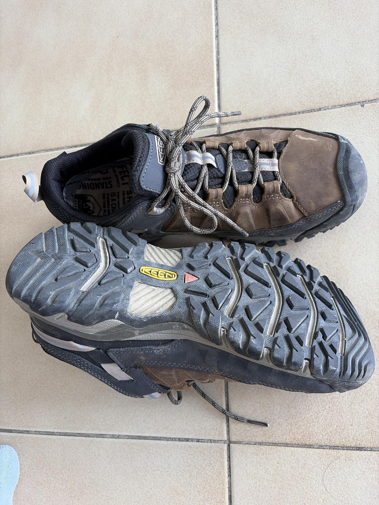 KEEN Men's Targhee 3 Low Height Waterproof Hiking Shoes customer photo 2