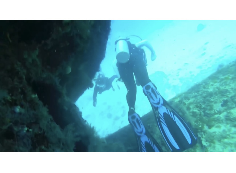 O'Neill Women's Reactor-2 3:2mm Back Zip Full Wetsuit, Lightweight Warmth and Flexibility for All Water Activities customer photo 2