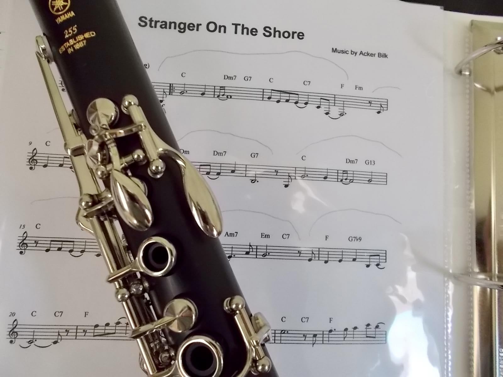 Yamaha YCL-255 Standard Bb Student Clarinet customer photo 1