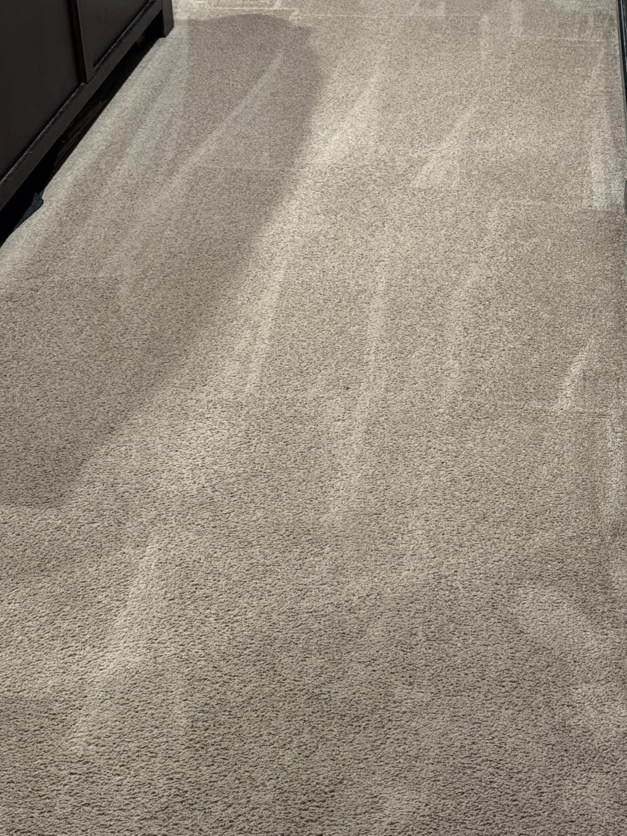 Hoover PowerDash Pet Compact Carpet Cleaner Machine, Lightweight Design, HeatForce Fast Drying, Antimicrobial Brush Roll customer photo 2