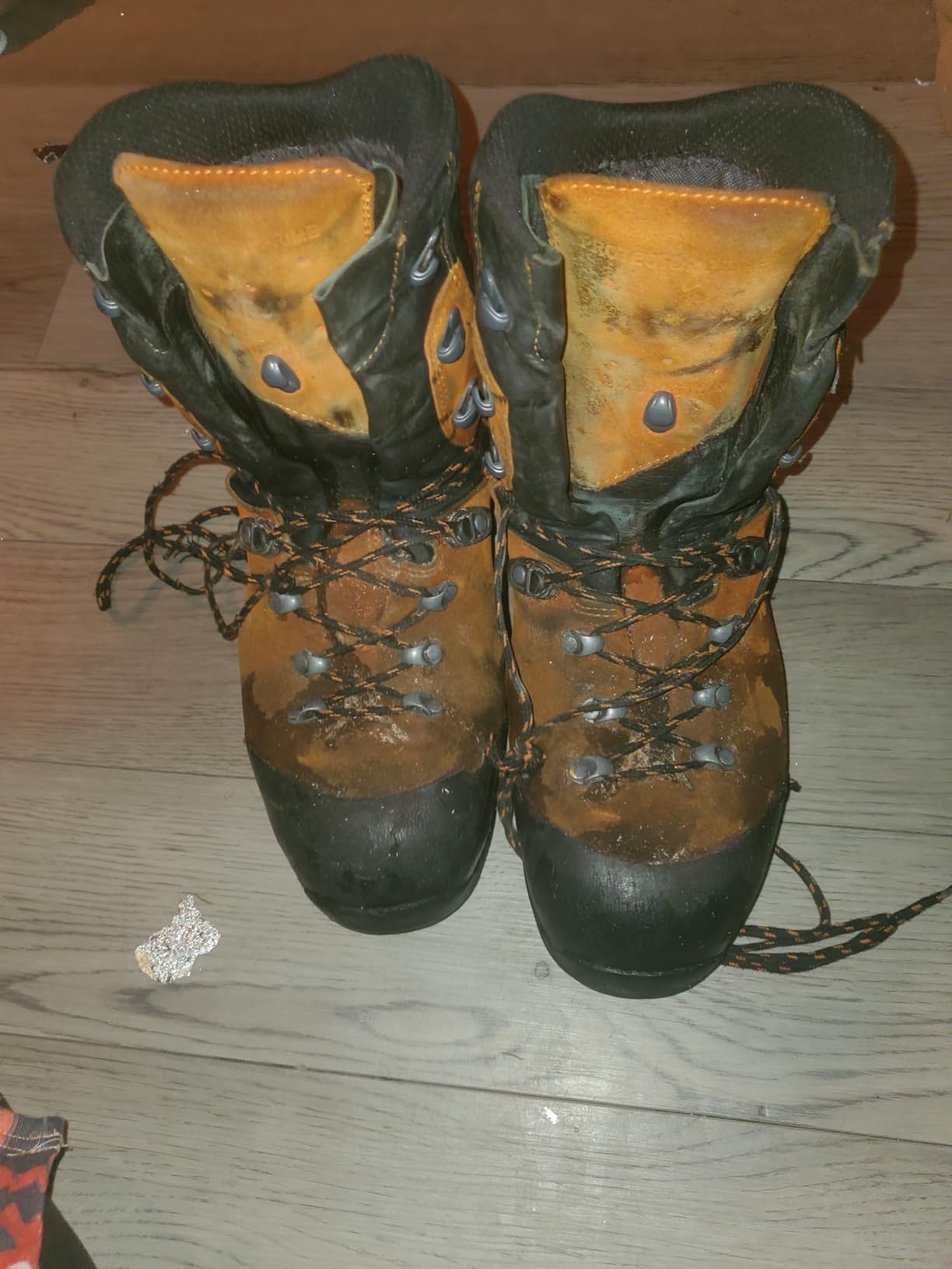 HAIX Protector Prime Mens Orange Steel Toe EH PR WP 9 In Boot customer photo 1