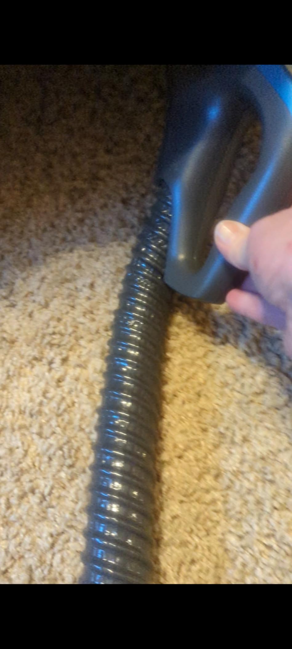 Kenmore 600 Series Pet Friendly Lightweight Bagged Canister Vacuum with Pet PowerMate, Pop-N-Go Brush, 2 Motors, HEPA Filter, Aluminum Telescoping Wand, Retractable Cord and 4 Cleaning Tools, Purple customer photo 1
