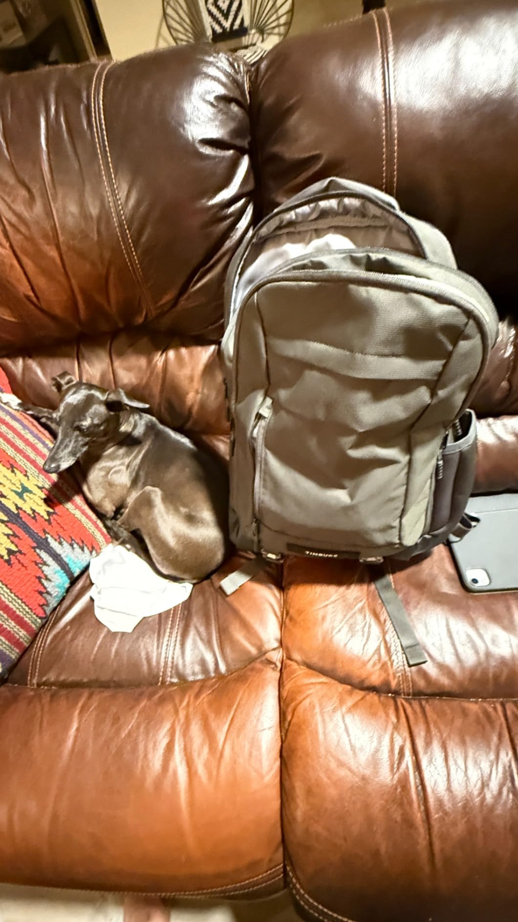 Timbuk2 Authority Laptop Backpack Deluxe, Eco Titanium customer photo 1