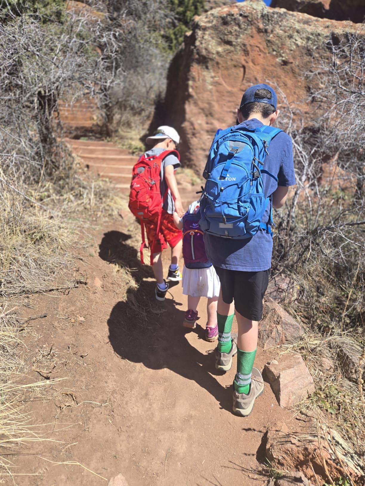 TETON Sports Oasis/Trailrunner Hydration Backpack - Lightweight Water Pack with 2L/3L Bladder for Hiking, Running, Cycling, Biking 18L/22L Sizes - Sewn-in Rain Cover customer photo 1