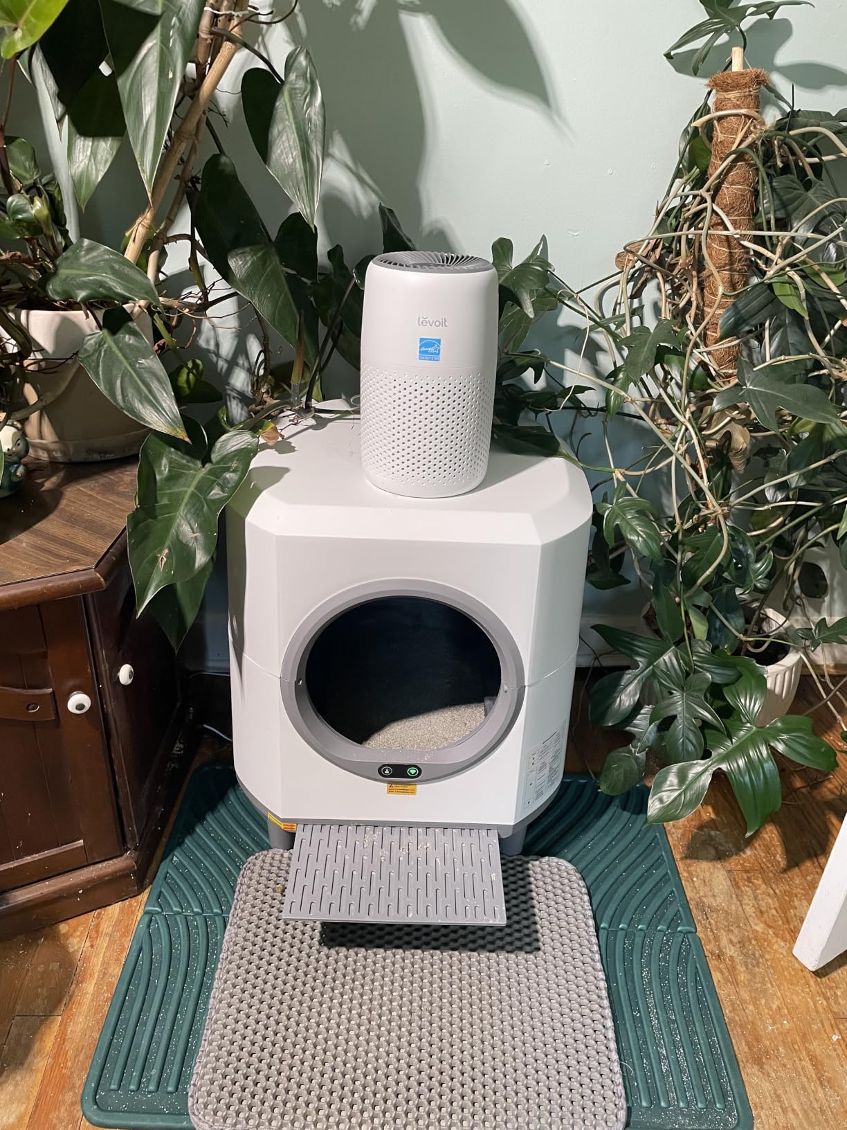 Levoit Air Purifiers for Bedroom Home Pets Dorm Room, Small Air Purifiers | Filter Cleaner with Fragrance Sponge, Filters Smoke, Allergens, Pet Dander, Odor, Dust, Office, Desktop, Core Mini-P, White customer photo 2