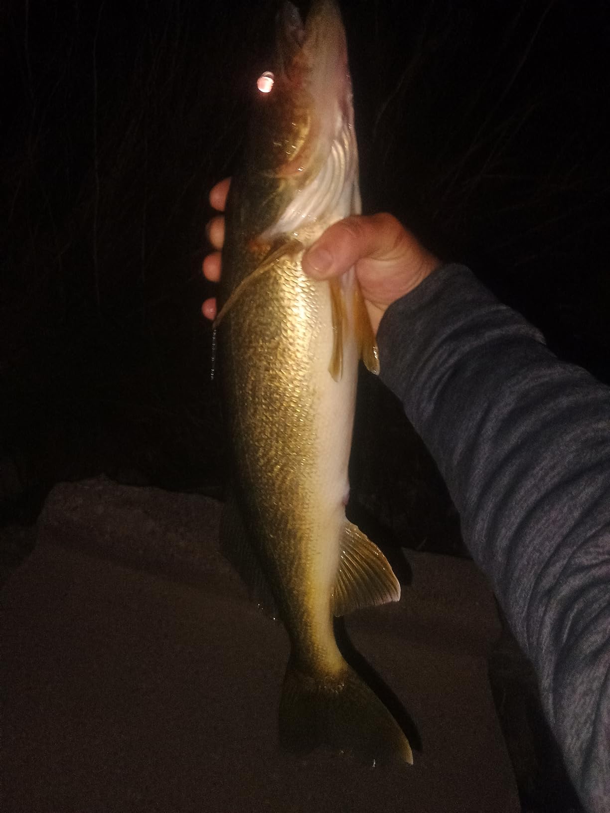 Shimano Sahara Spinning Reel customer photo 2