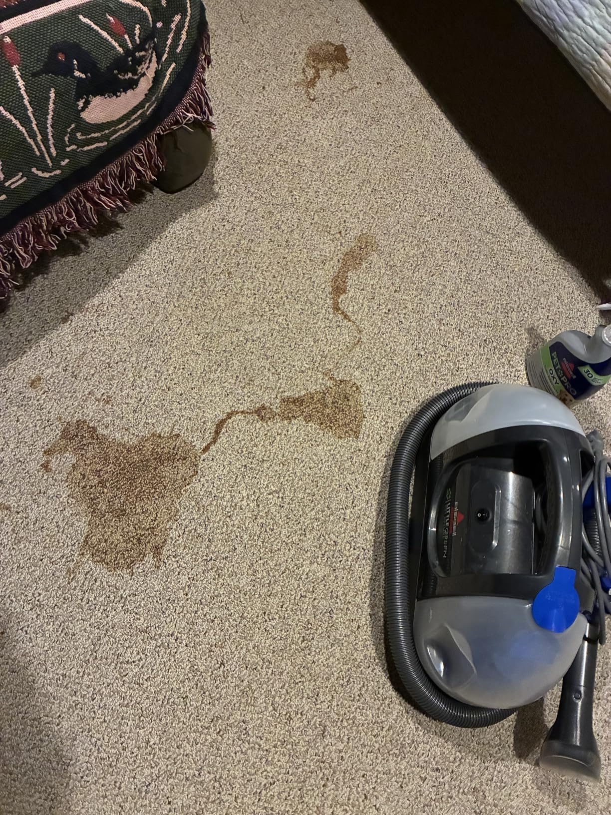 BISSELL Little Green Pet Deluxe Portable Carpet Cleaner, 3353 customer photo 2
