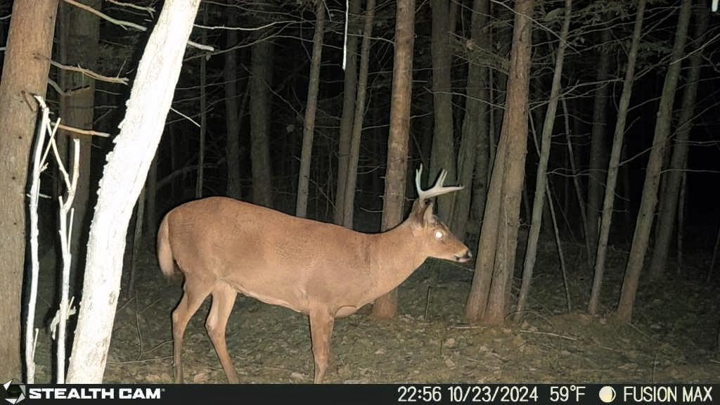 Stealth CAM Fusion X-Pro Dual Sim 36 MP Photo & 720P HD Video 0.4 Sec Trigger Speed Wireless Hunting Trail Camera - Available on AT&T & Verizon customer photo 1