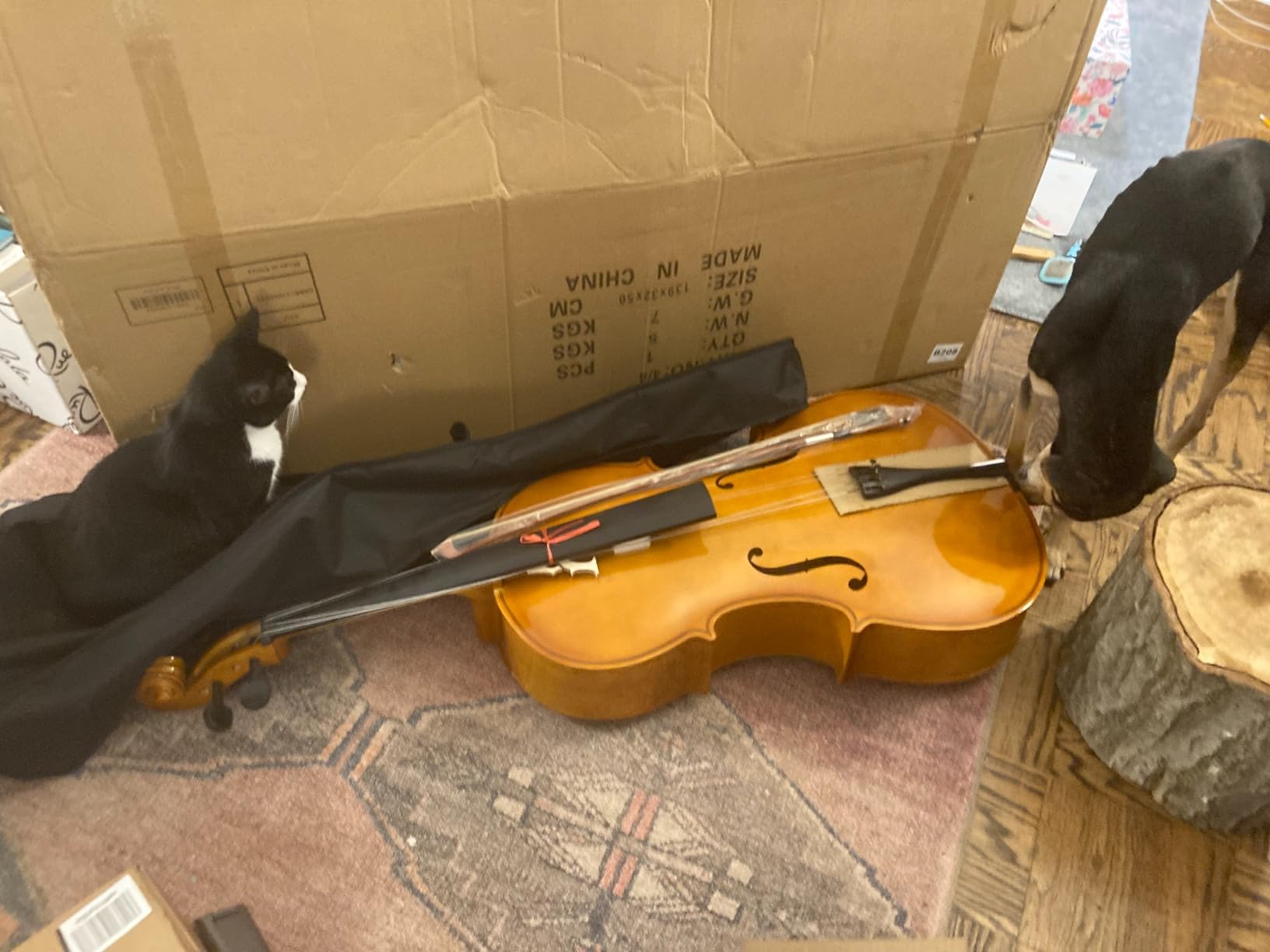 Ktaxon Full-Size Cello, Beginner Cello 4/4, Acoustic Cello Kit with Portable Bag, Bow, Bridge, Rosin, Adults & Kids String Musical Instruments (Nature) customer photo 2