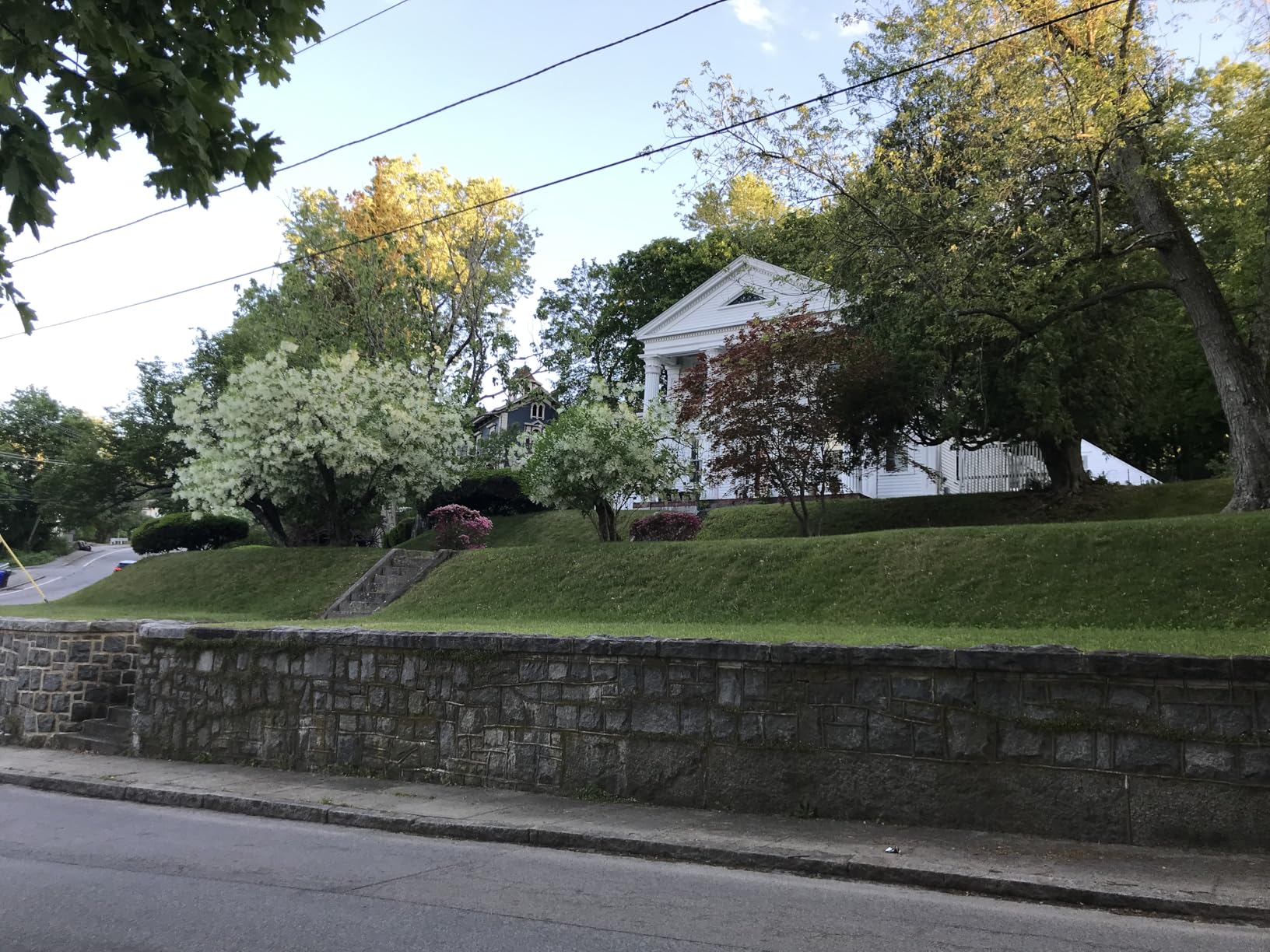 Remote Controlled Lawn Mower| 55° Slope Capability | Hybrid Self-Charging Dual Battery | Brushless Motors | Zero Turn | Adjustable Cutting Deck (Mower) customer photo 2