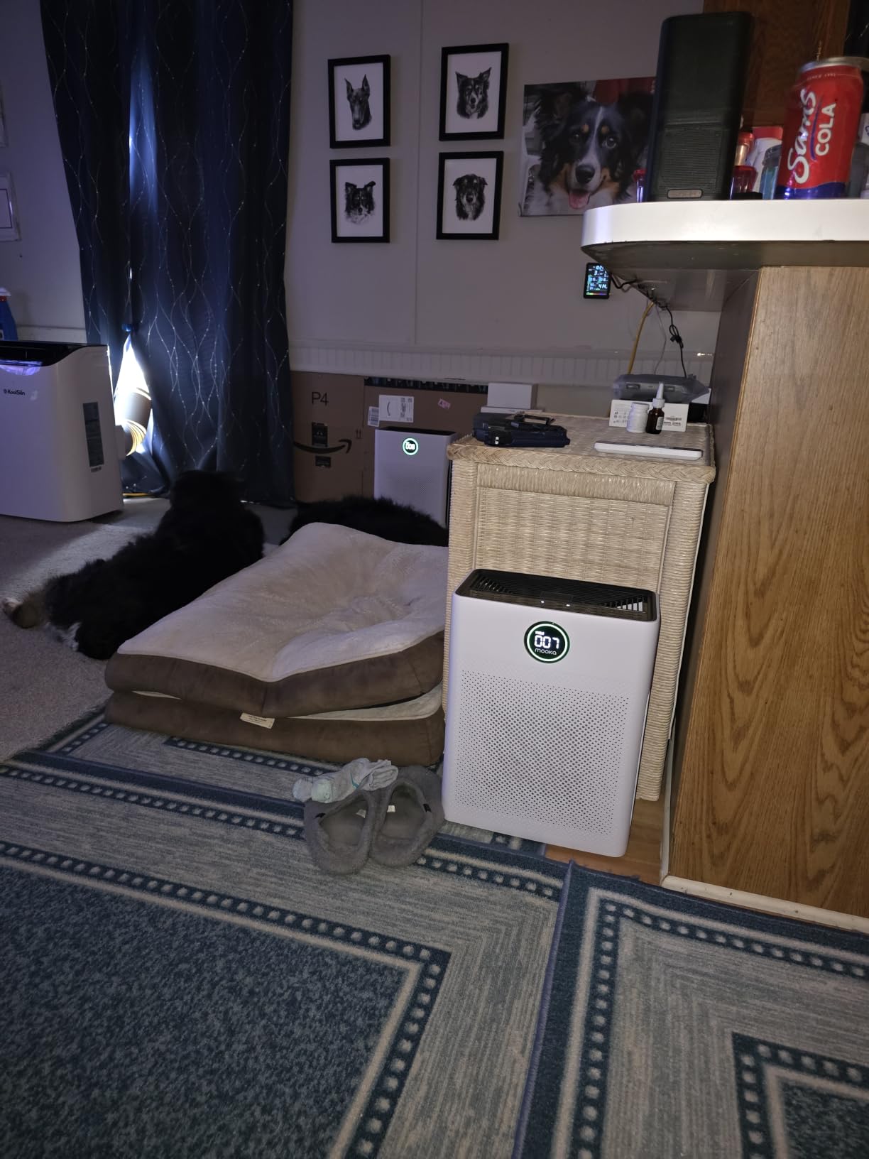 Air Purifiers for Home Large Room up to 2200sq.ft, MOOKA Air purifier for Home Pets with Washable Filter, PM 2.5 Display Air Quality Sensor Air Cleaner for Bedroom, Dorm room, Pets, Office PR1 (White) customer photo 2