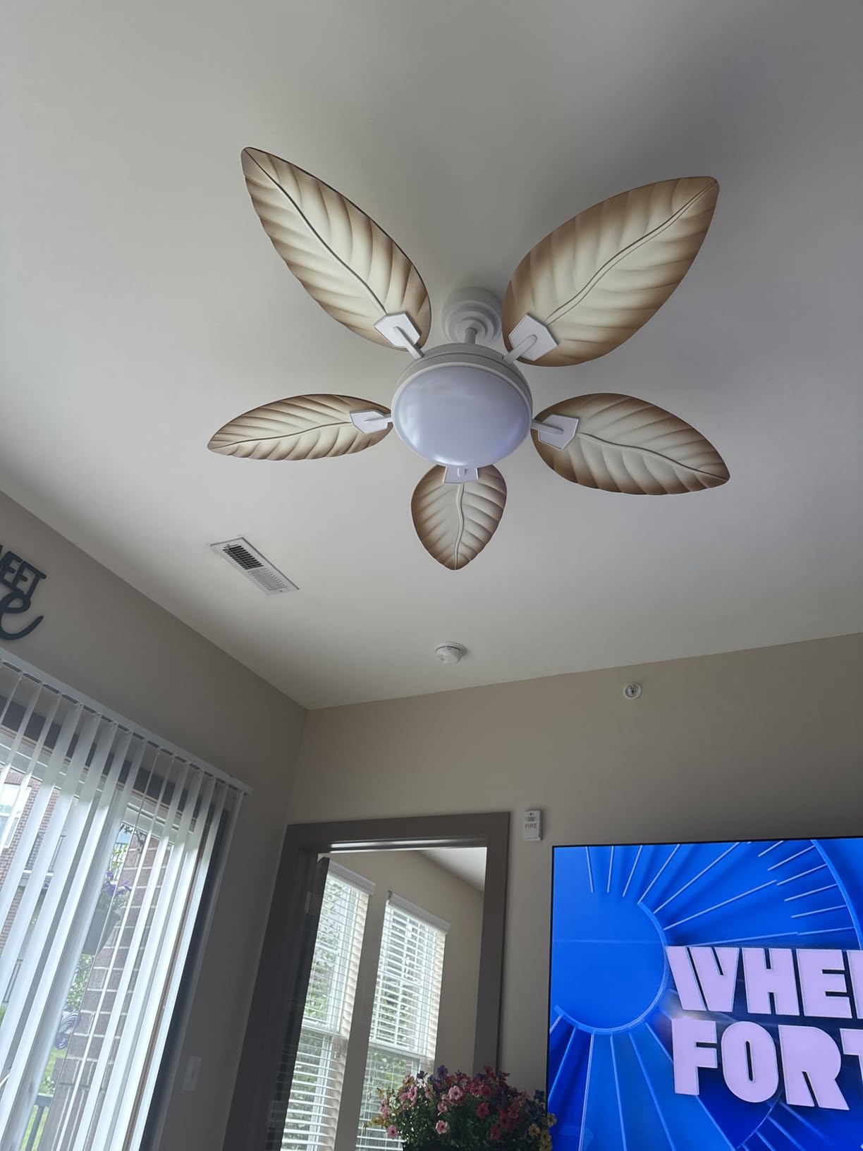 PHORUS 52 Inch Tropical Ceiling Fans with Lights and Remote, Outdoor Palm Leaf Ceiling Fan for Patios Porch Bedroom, Dimmable, 6 Speeds, Reversible, Dark Brown customer photo 1