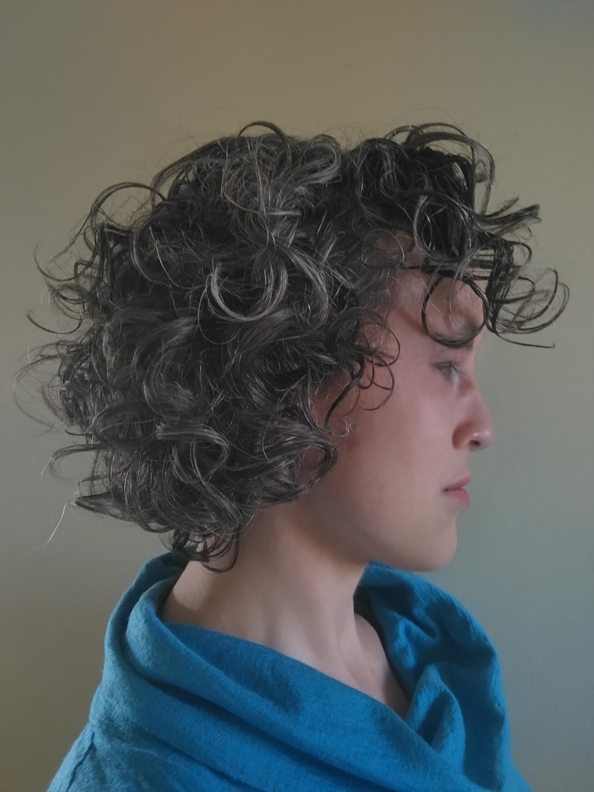 Shark SpeedStyle Pro Professional Performance High-Velocity Hair Dryer System (HD732) - Curly and Coily Hair customer photo 1