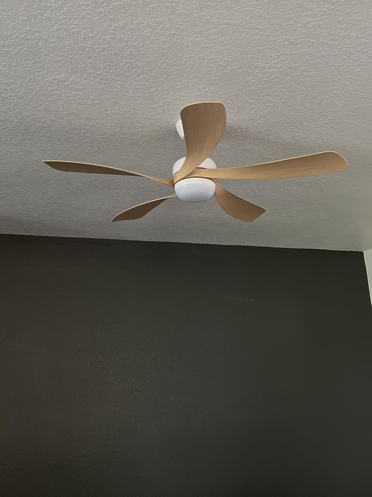 Sofucor 52 Inch Ceiling Fans with Lights and Remote, Outdoor Ceiling Fan with Light 6-Speed 3 CCT 3-Timer, Low Profile Ceiling Fan 5 Blade Reversible DC Motor for Living Room Bedroom Patio customer photo 2