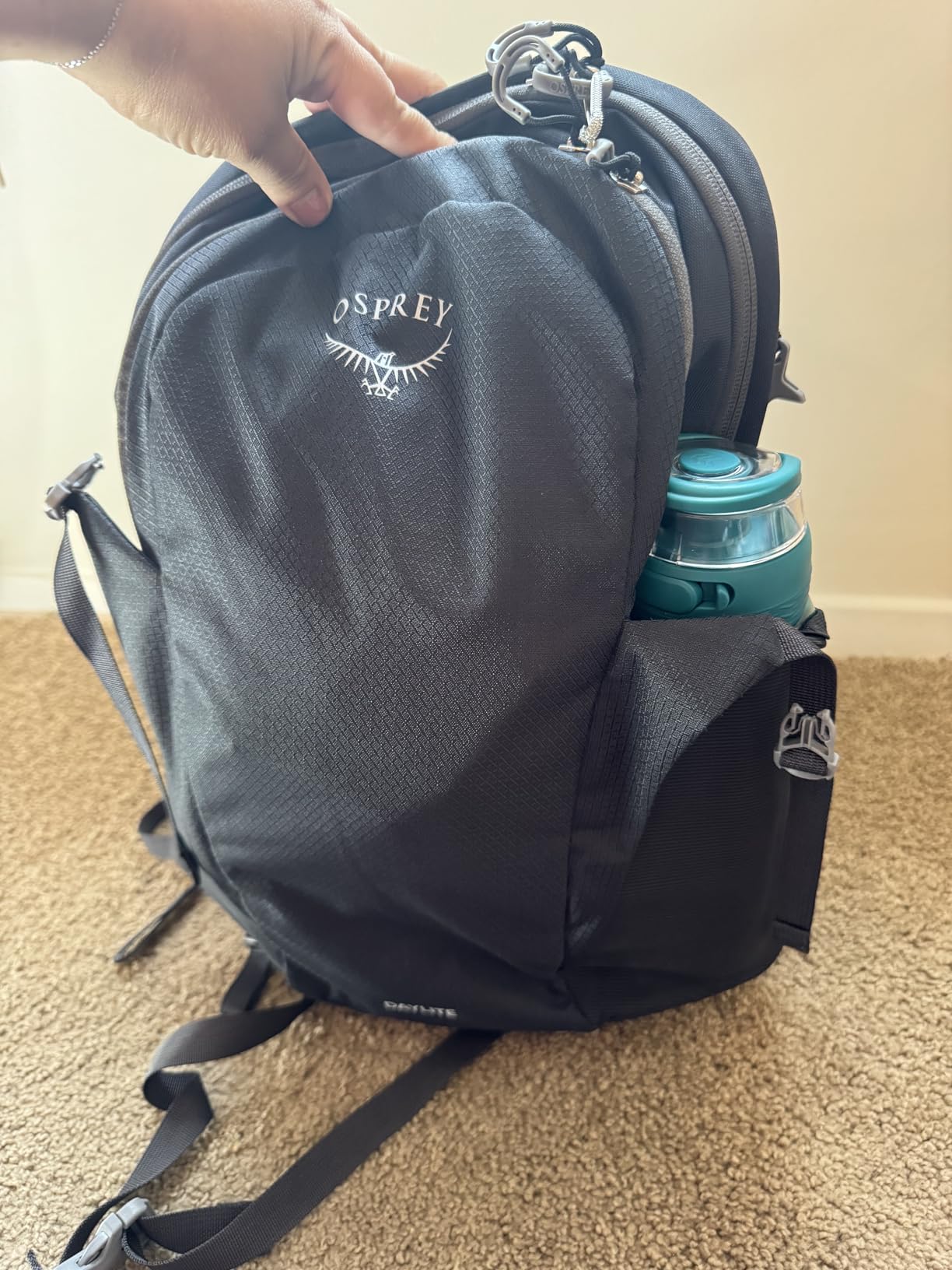 Osprey Daylite Commuter Backpack, Moody Burgundy customer photo 1
