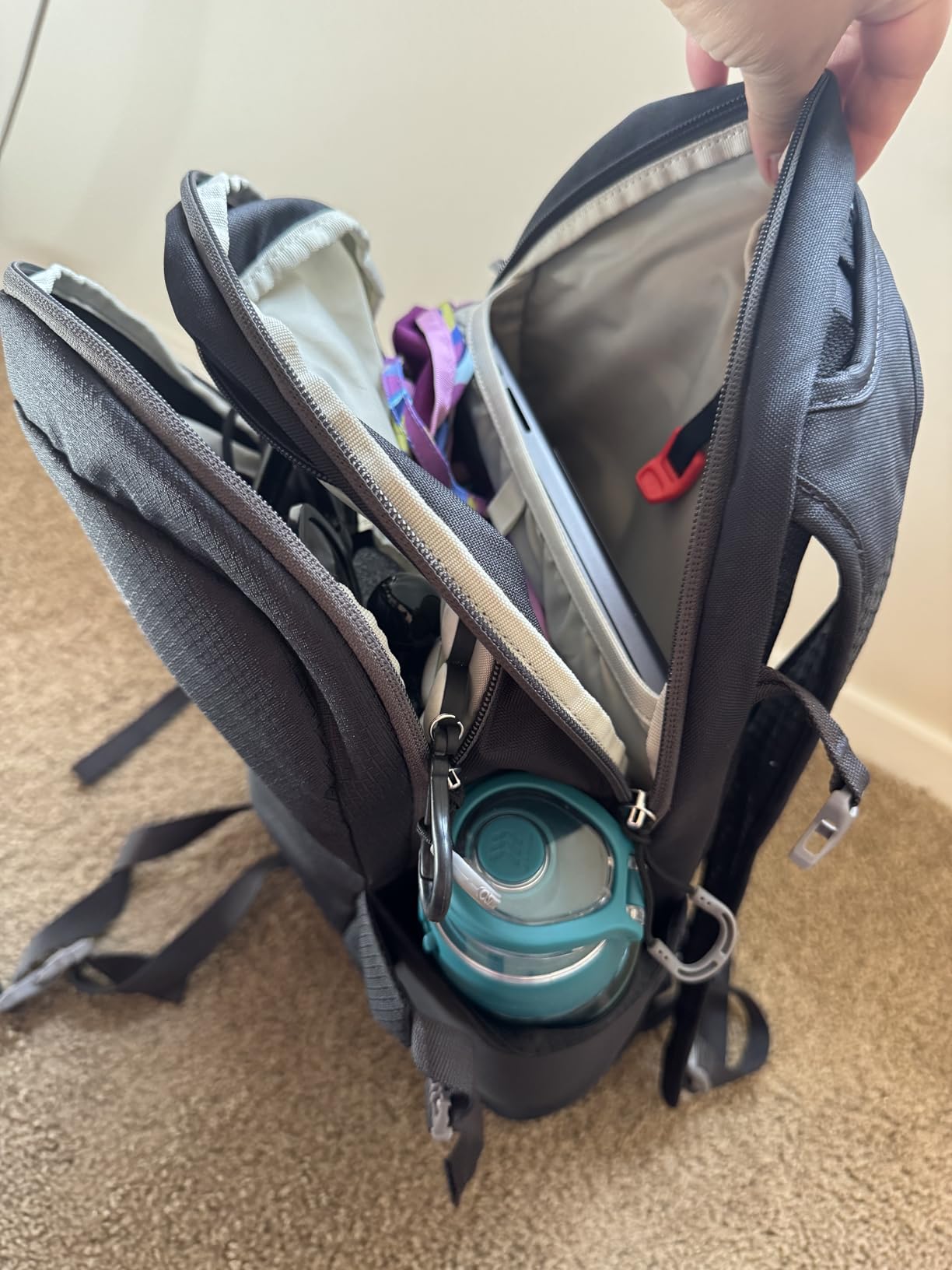 Osprey Daylite Commuter Backpack, Moody Burgundy customer photo 2