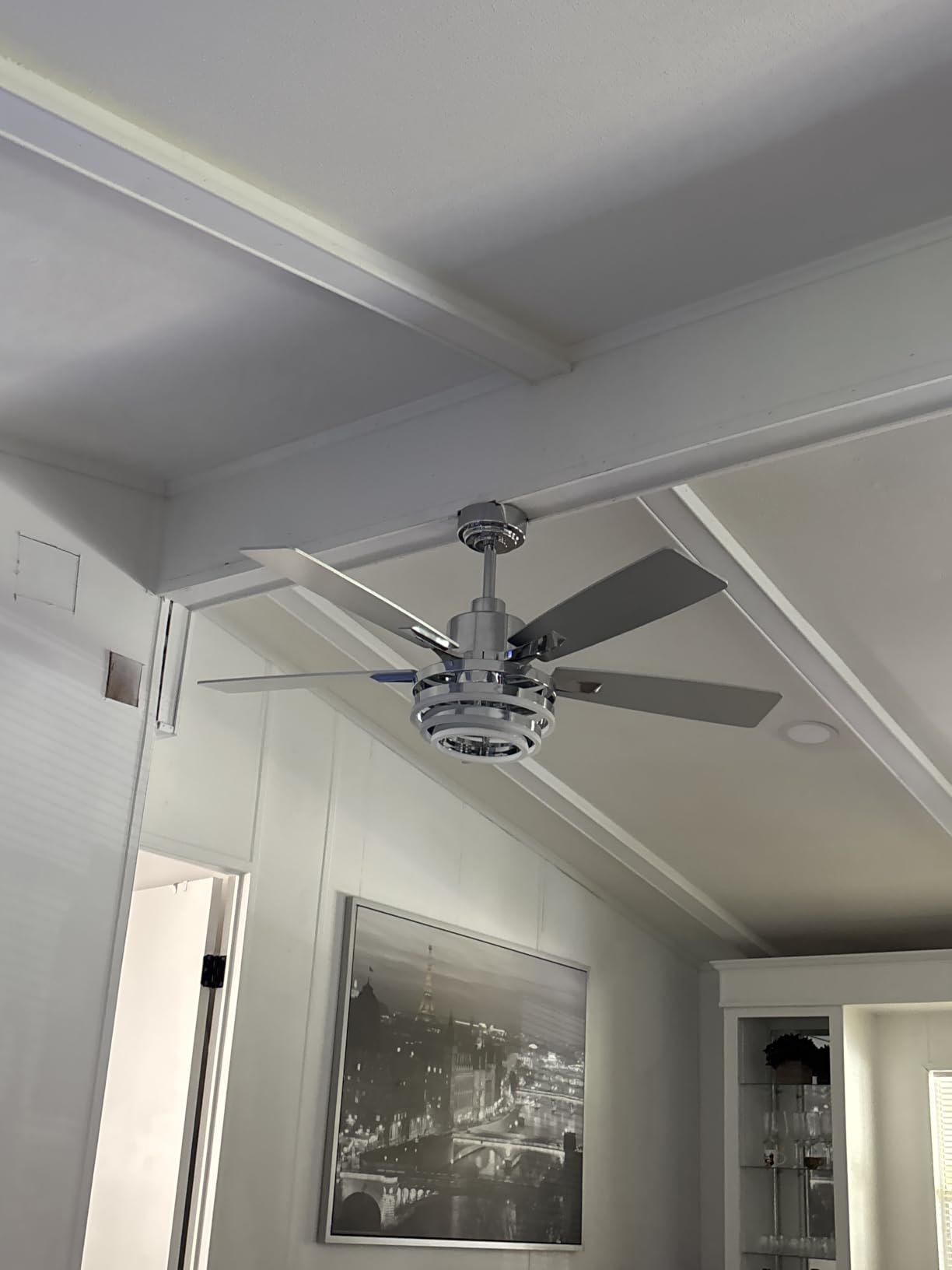 72 Inch Ceiling Fans with Lights, Large Modern Ceiling Fan with Remote Control for Living Room Kitchen, Dimmable, 6 Speed Reversible DC Motor, Dual Finish customer photo 1