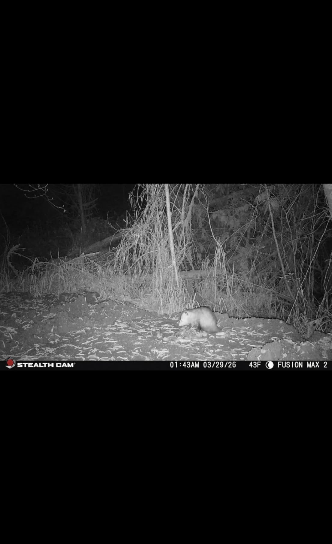 Stealth Cam Fusion Max 2.0 Cellular Trail Camera 36MP - 16GB Internal Memory customer photo 1