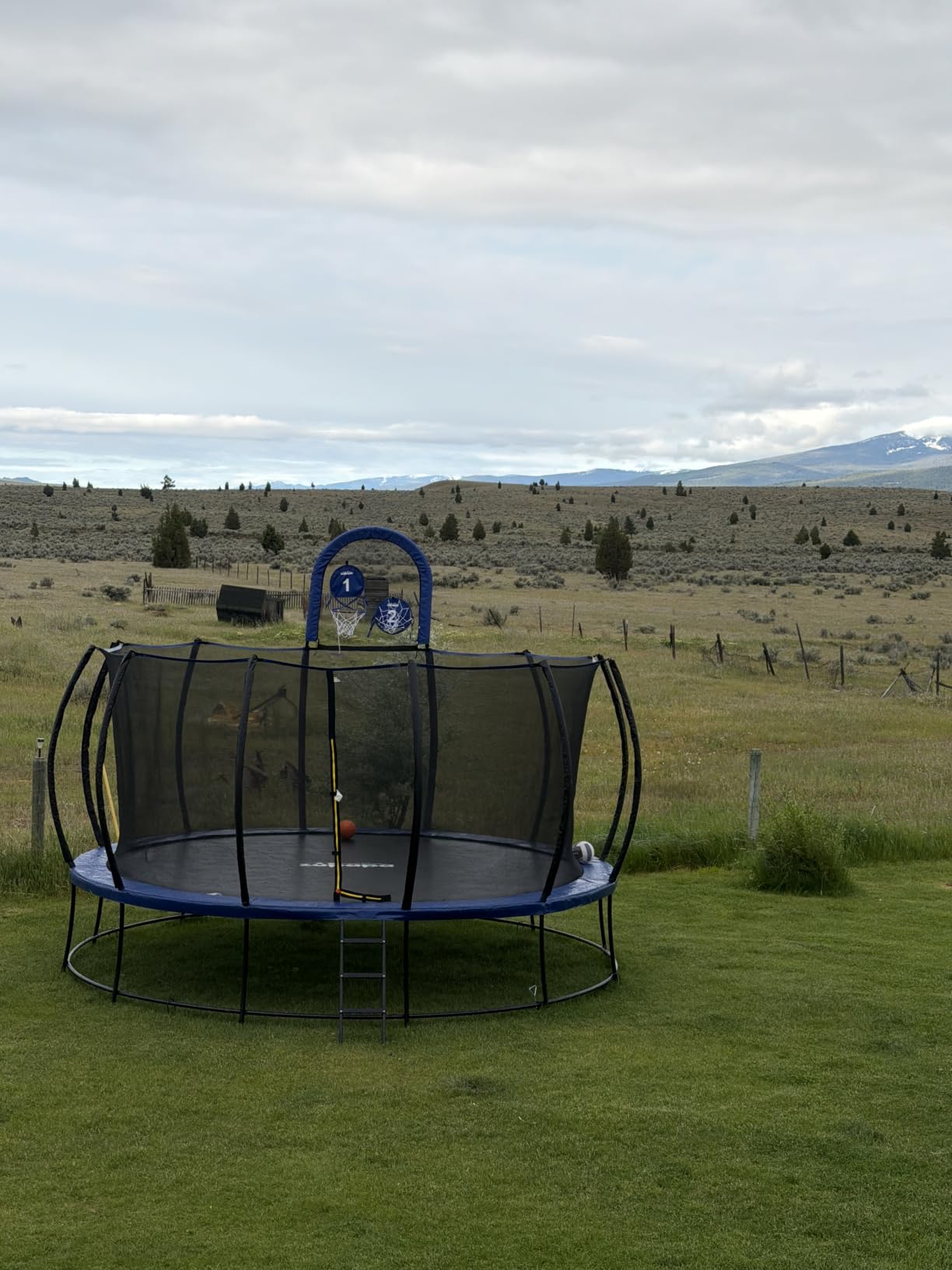 Zupapa 1800LBS Capacity No-Gap Design 16 15 14 12FT Trampoline with Safety Enclosure Net and Non-Slip Ladder, 10-Year Quality Assurance, Perfect for Kids Family Outdoor Backyard Fun customer photo 1