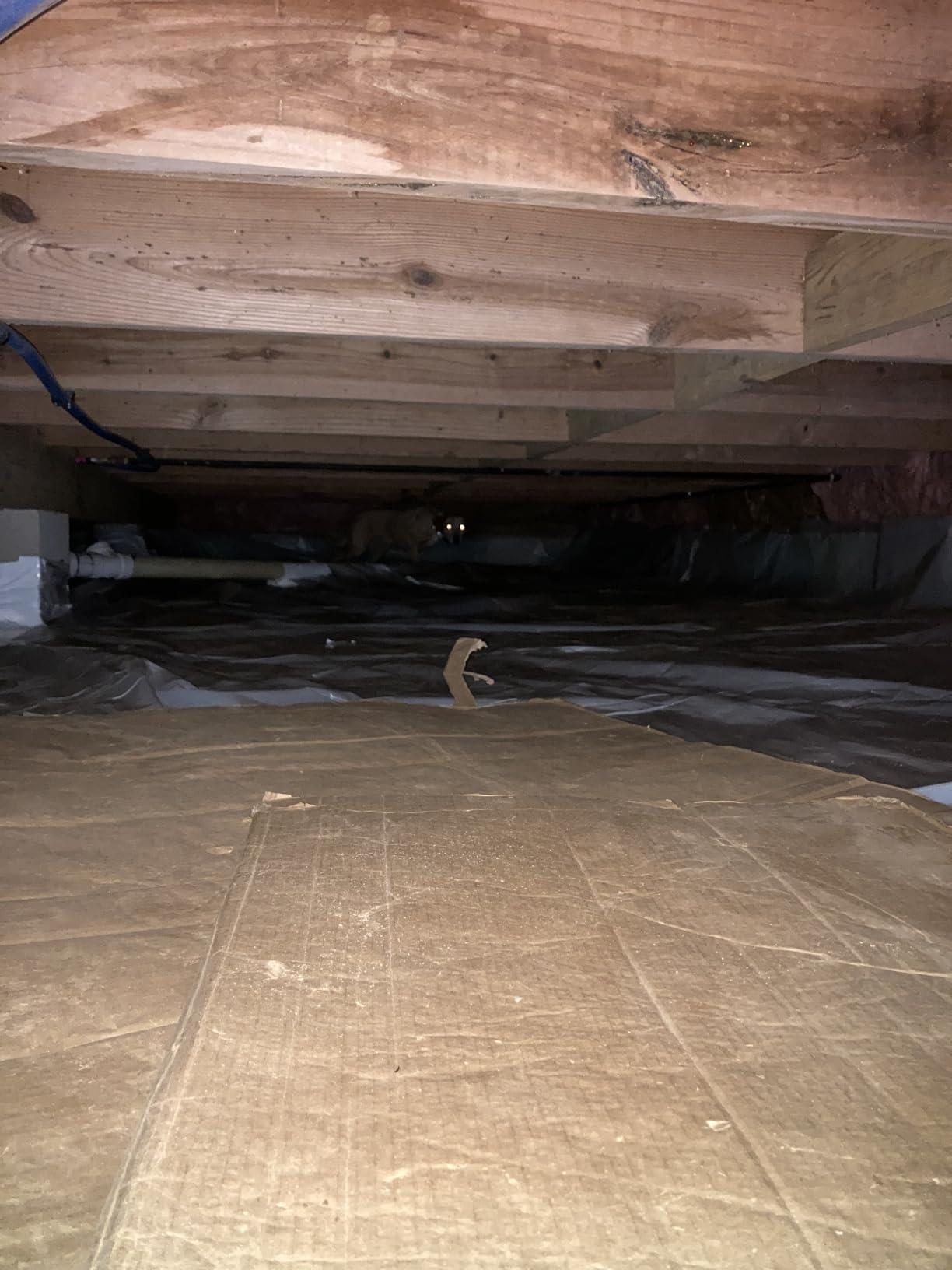 70 Pints Energy Star Commercial Dehumidifier with Drain Hose for 5000 Sq. Ft. Crawl Space, Basement, Industrial, 10-90% RH Humidity Control, 24/7 Continuous Drainage, TUV Certified, 5-Yr Coverage customer photo 1