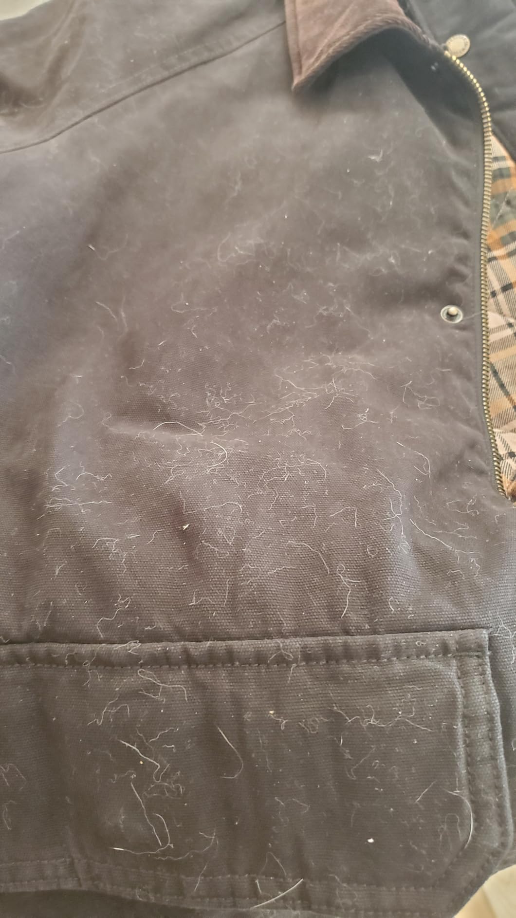 Levi's Men's Cotton Barn Jacket With Corduroy Collar customer photo 2