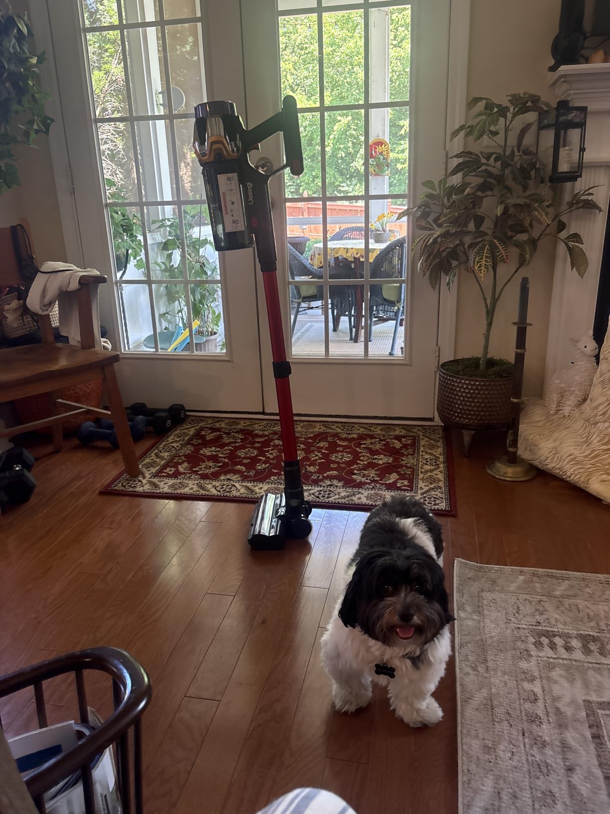 Cordless Vacuum Cleaner, Upgraded 55KPA 650W 70Mins Stick Vacuum with Hurricane Mode, Self-Standing, Touch Screen, 1.8L Dust Cup, Anti-tangle Wireless Vacumm, Vacuum Cleaners for Home/Pet Hair/Carpets customer photo 2