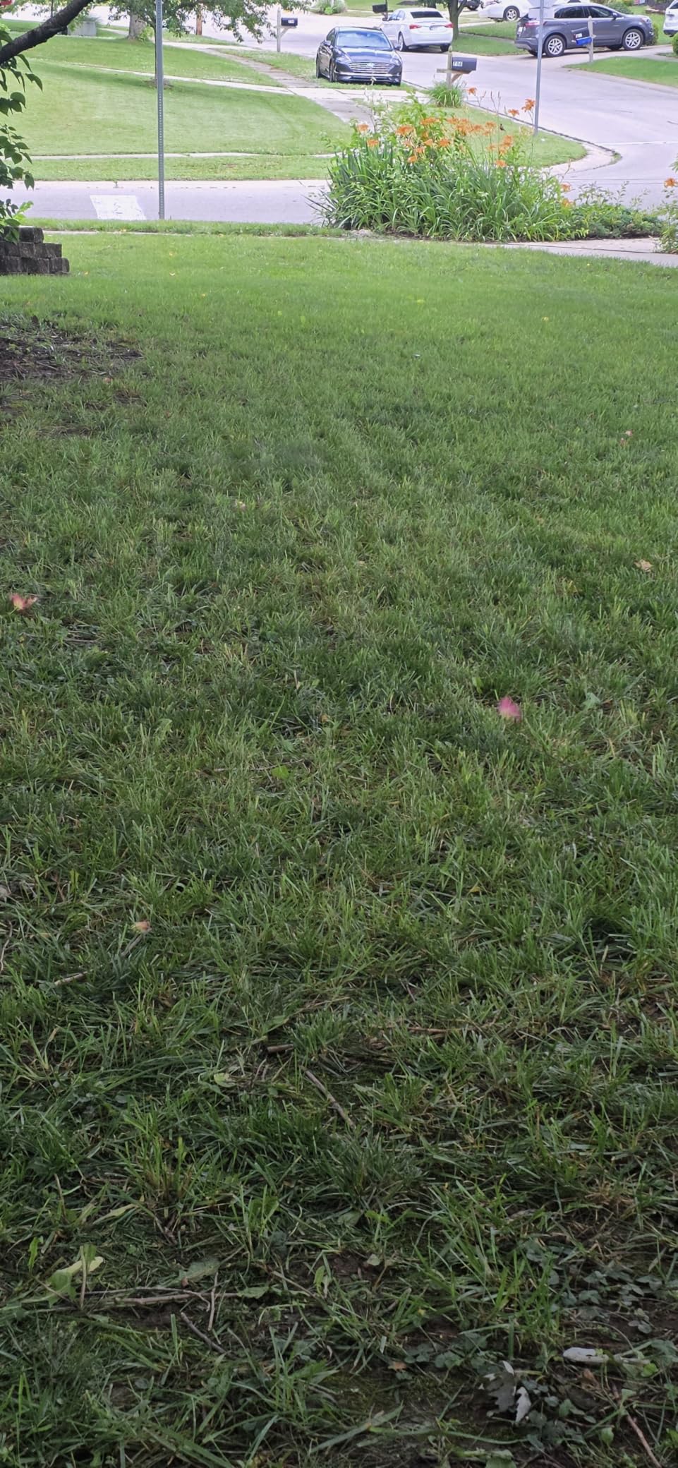 Sunseeker X5 AWD Robot Lawn Mower, 0.5 Acre 21780 Sq Ft, Wireless No Boundary Wire Mower with RTK Vision Navigation, AI Obstacle Avoidance, App Control customer photo 2