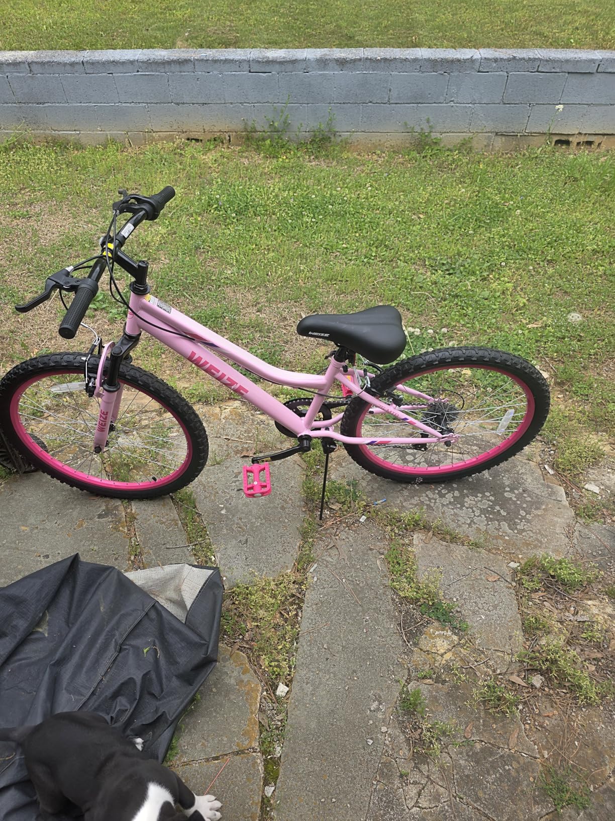 WEIZE 20 24 Inch Kids Mountain Bike,Kids Bike for Girls Age 6-14 Year Old,6 Speed Kid Bicycle with Front Suspension Fork,Adjustable Seat Height,High-Carbon Steel Frame,Ideal for Girl Adventurers customer photo 1