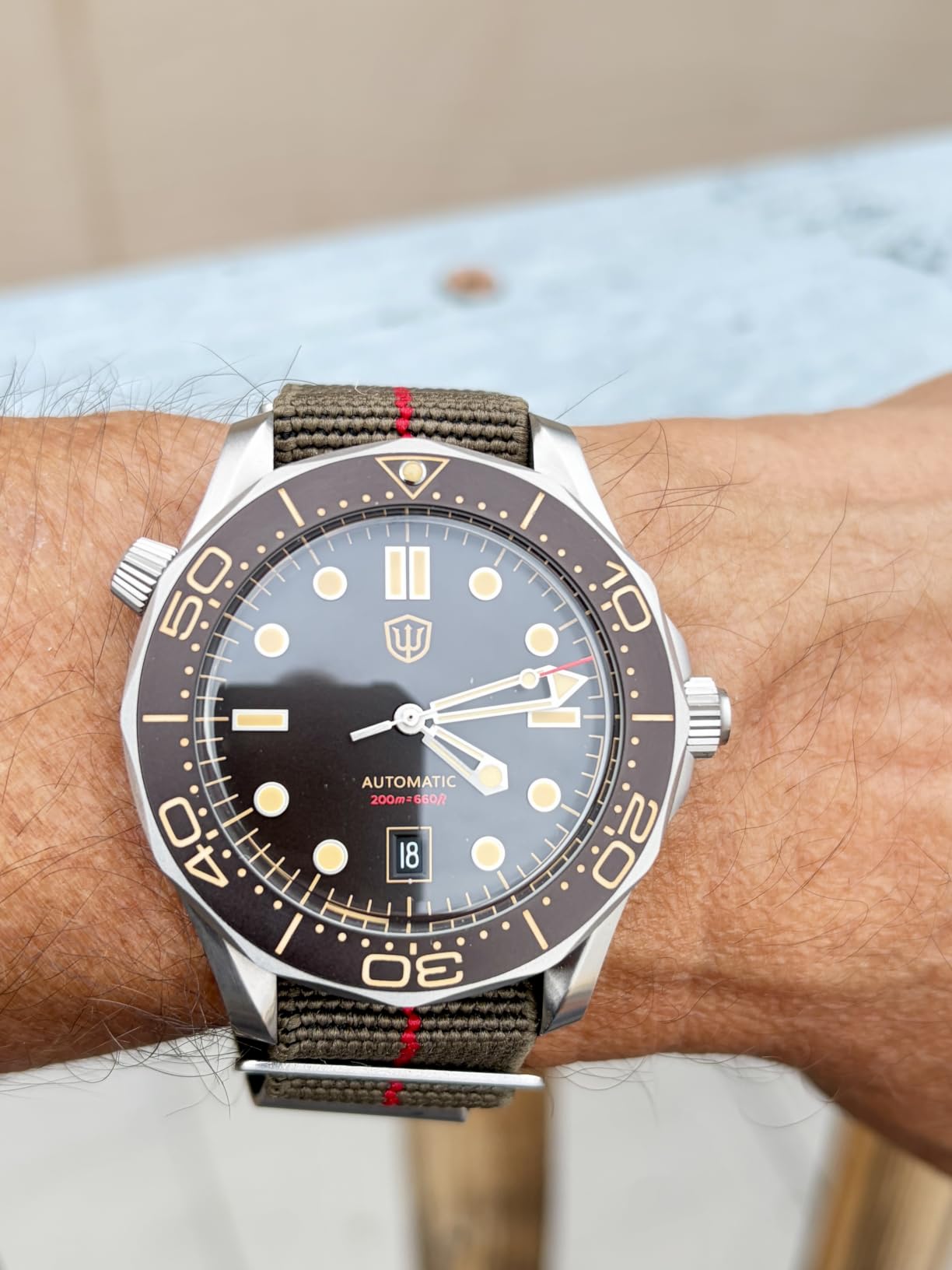 TACTICAL FROG Watchdives WD007 Sea Ghost NTTD Vintage Dive Watch for Men, PT5000 Automatic Movement, 42 mm Sapphire Crystal Titanium Mens Automatic Watches, 200 M Water Resistant customer photo 1