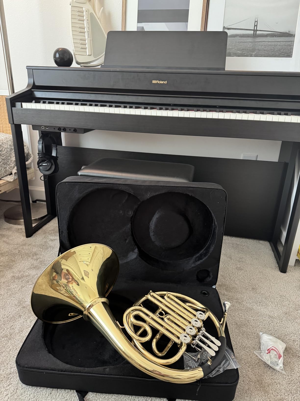 Double French Horn F/Bb Key, Professional 4-Valve Nickel-Plated & Gold Lacquer Brass for Students, Musicians & Orchestra Use customer photo 1