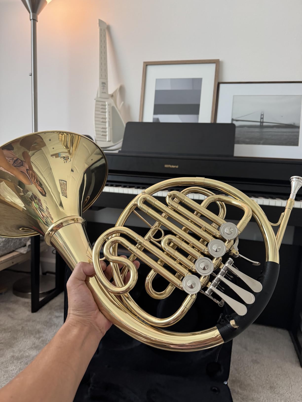 Double French Horn F/Bb Key, Professional 4-Valve Nickel-Plated & Gold Lacquer Brass for Students, Musicians & Orchestra Use customer photo 2