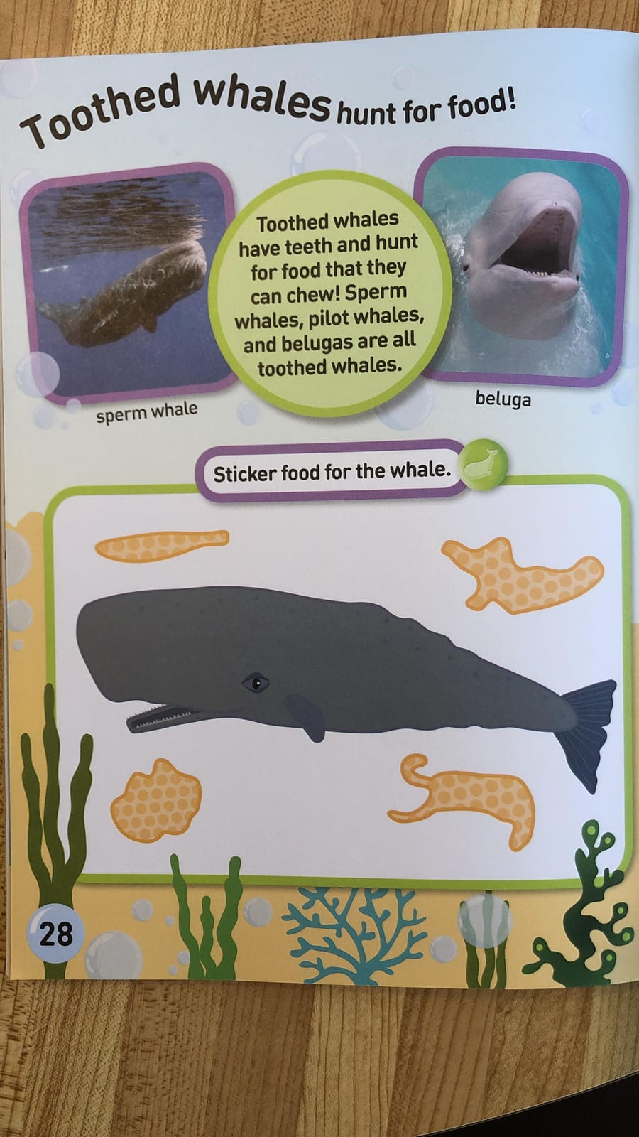 National Geographic Kids Ocean Animals Sticker Activity Book: Over 1,000 Stickers! customer photo 1