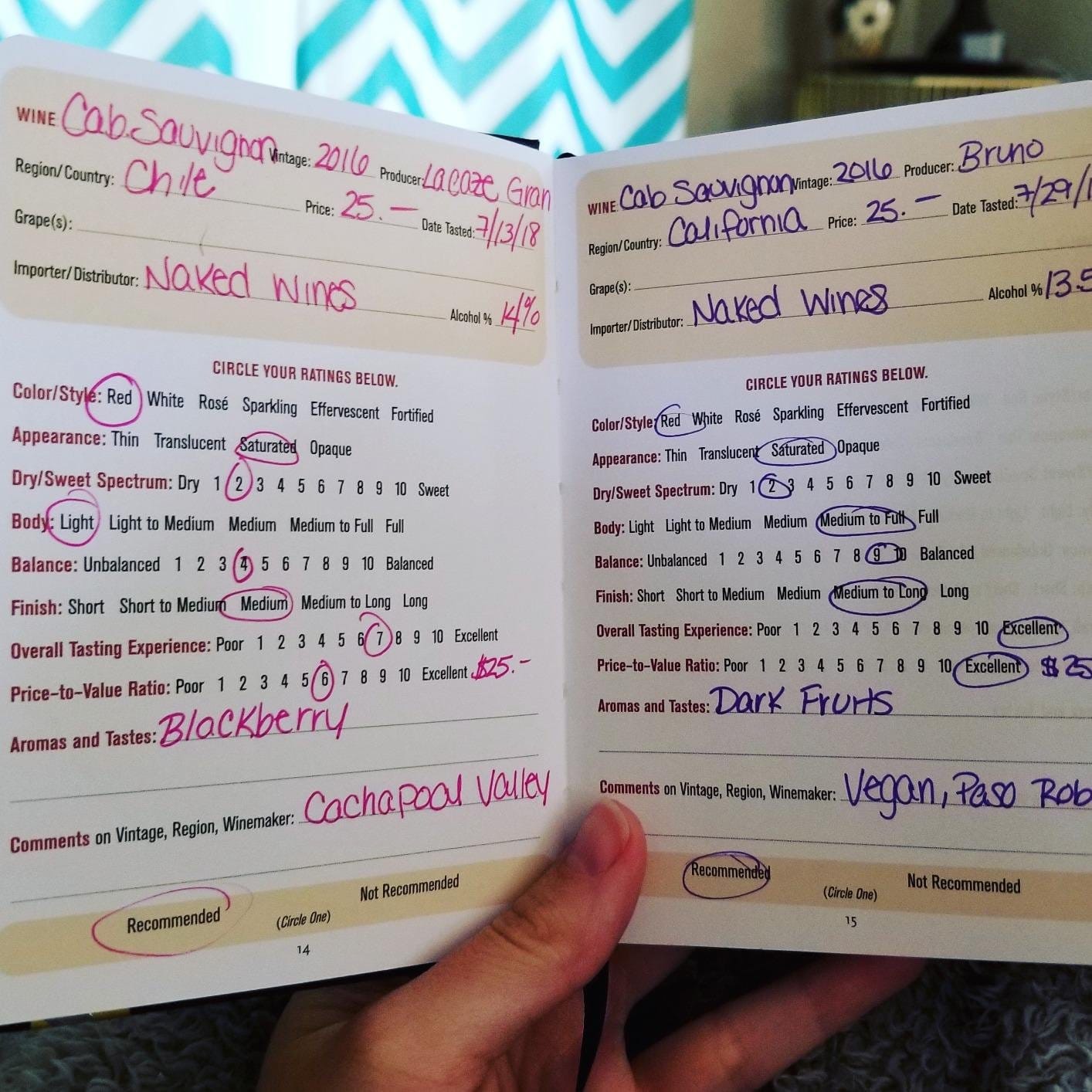 Wine Tasting Journal (Diary, Notebook) customer photo 2