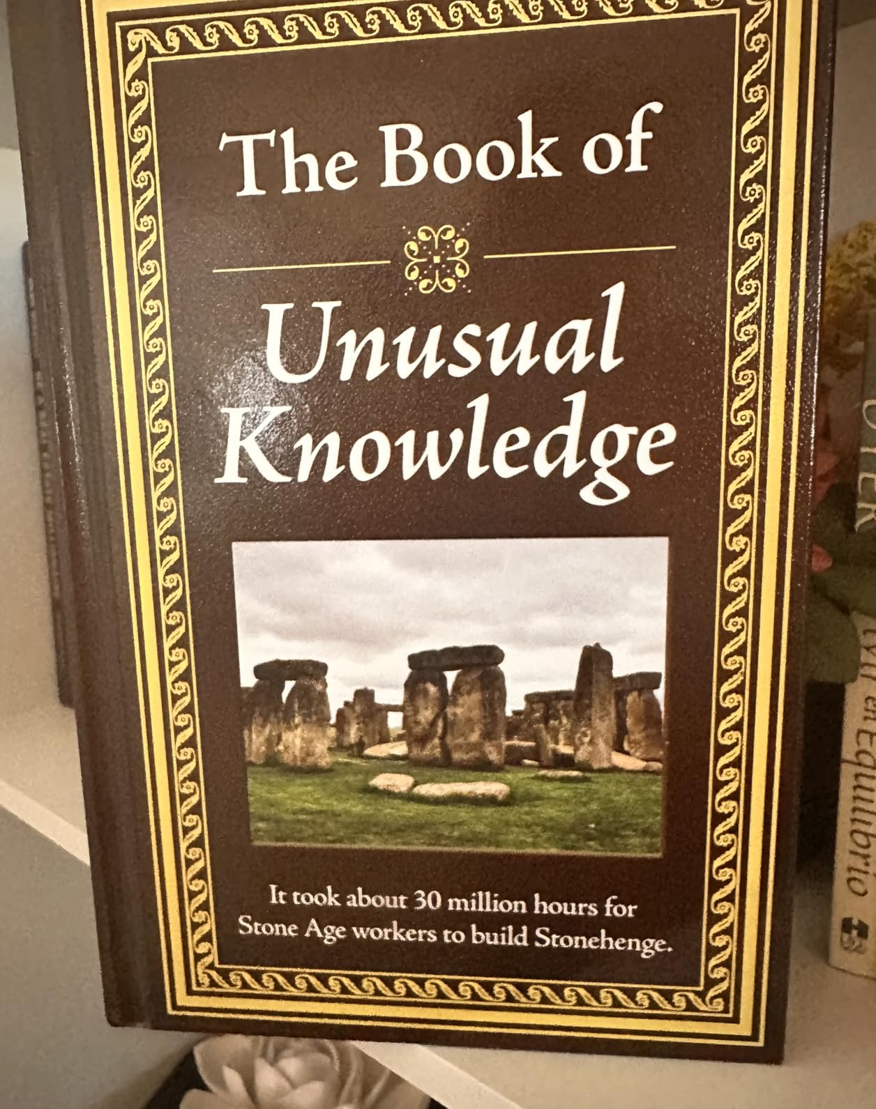 The Book of Unusual Knowledge: Big Book of Fascinating Facts & Information | Hardcover Gift for Trivia Buffs, Curious Minds, Adults, Dad & Knowledge Seekers customer photo 1
