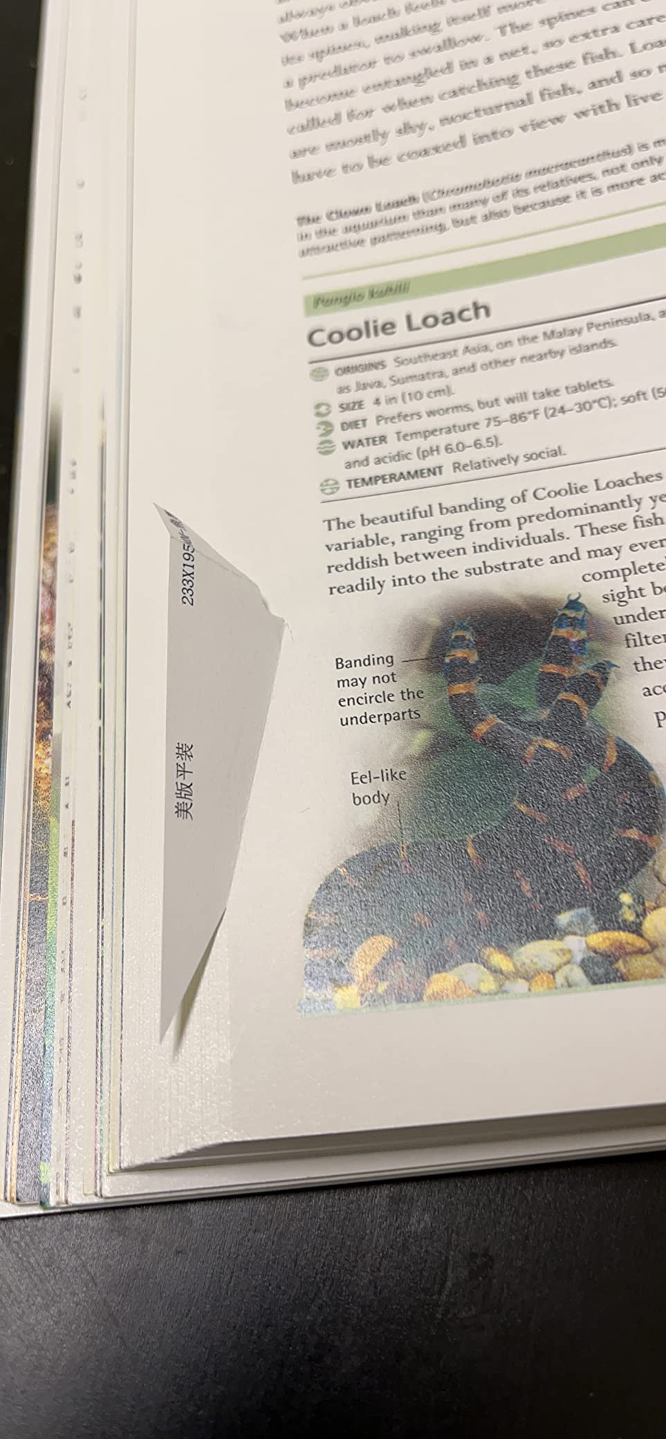 Encyclopedia of Aquarium and Pond Fish (DK Pet Encyclopedias) customer photo 1