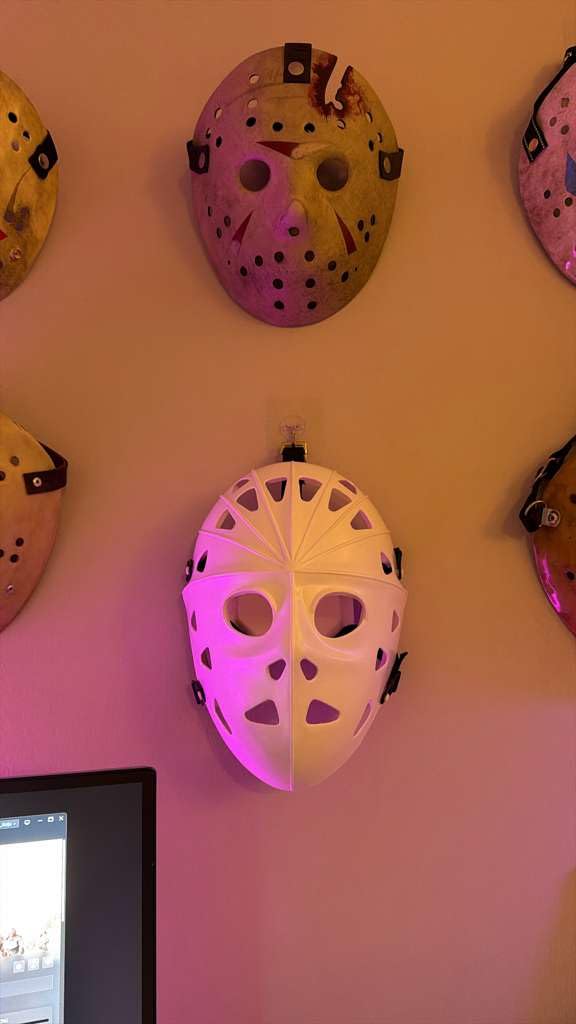 Mylec Adult Street Hockey Goalie Mask - High-Impact - Ventilation Holes + Adjustable Straps - Street Hockey Only,Halloween Mask customer photo 1