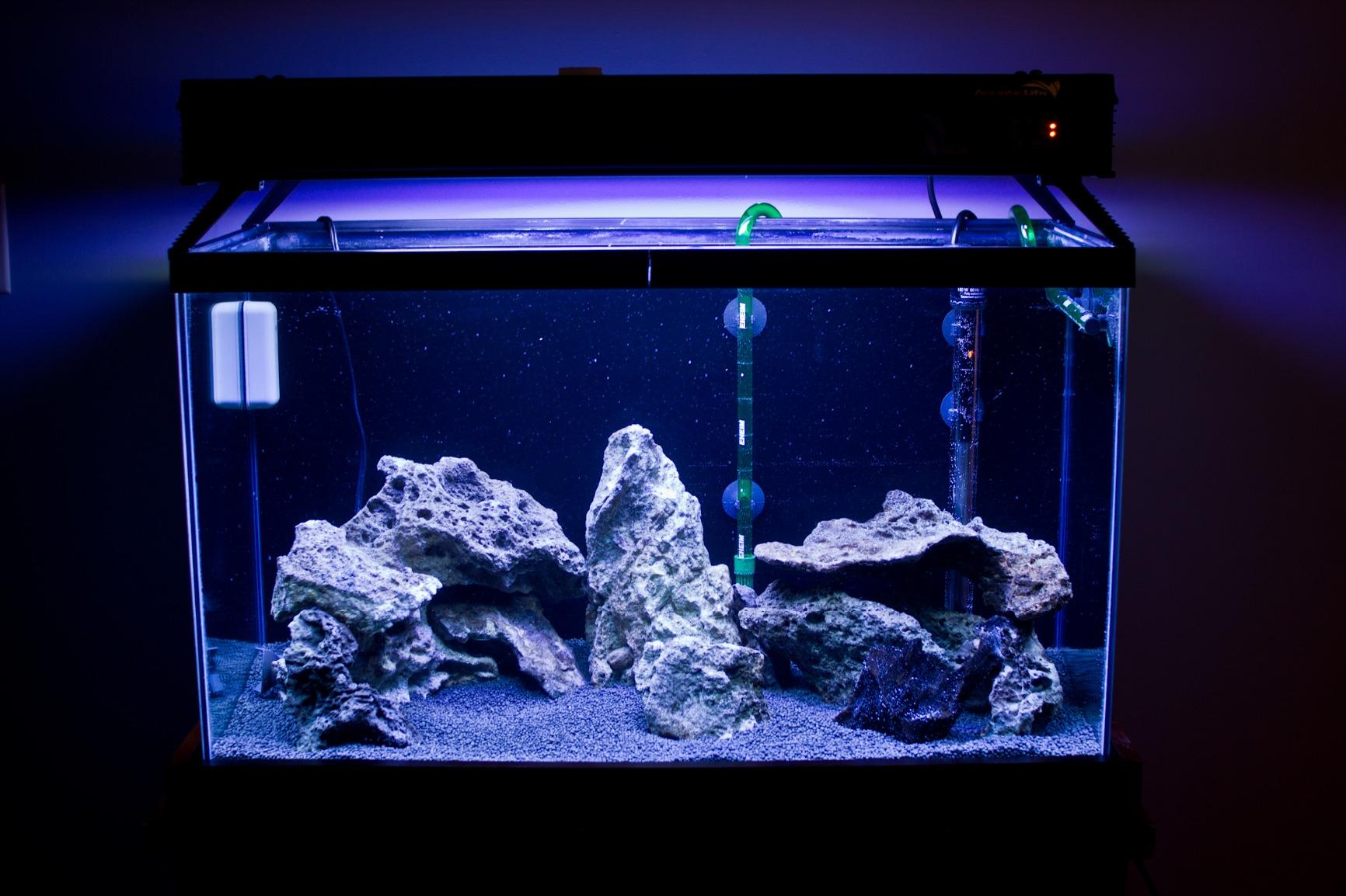 EHEIM Classic Canister Filter 2215, Classic 350 customer photo 1