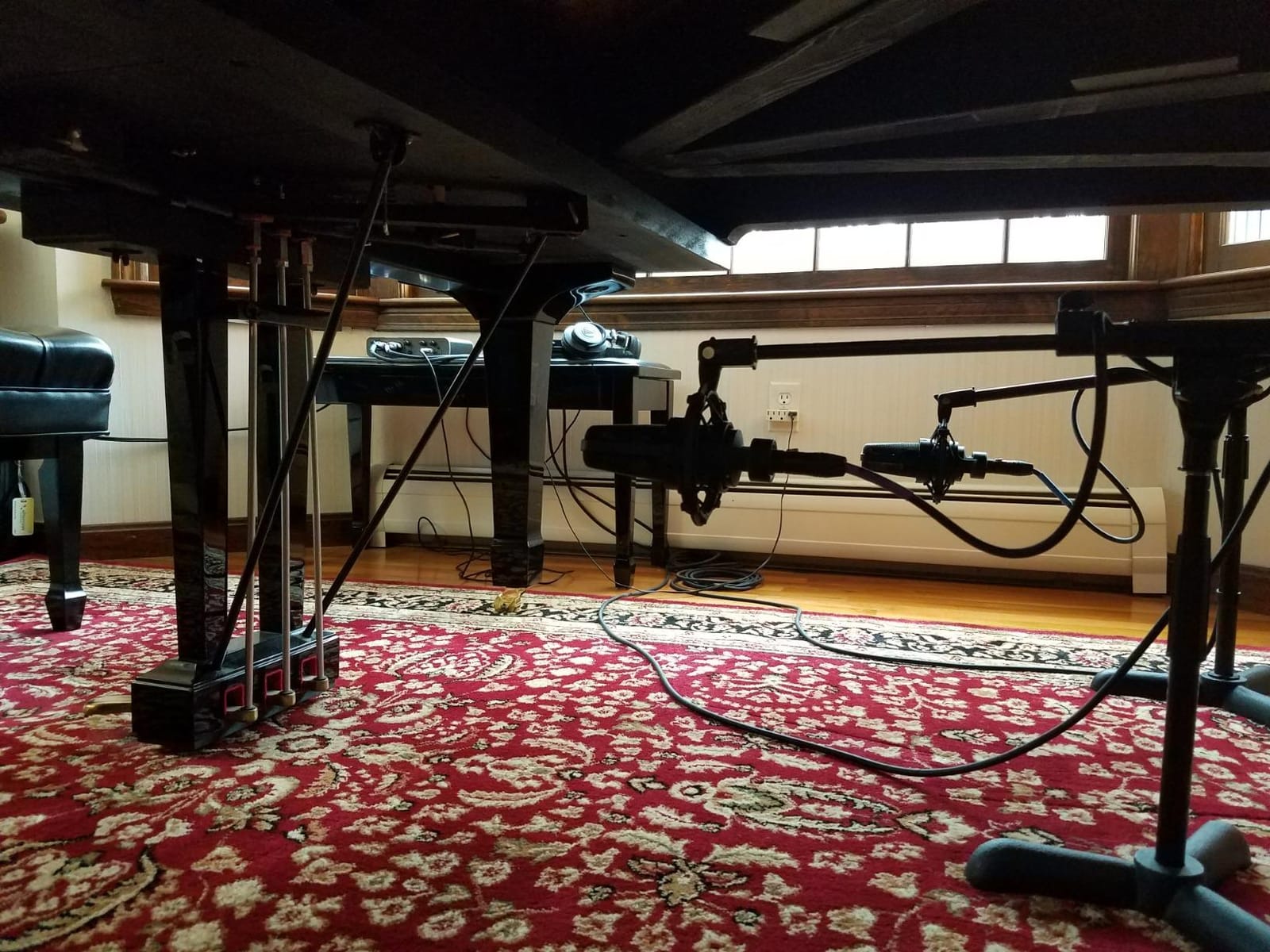 Audio-Technica AT4040 Cardioid Condenser Microphone customer photo 2